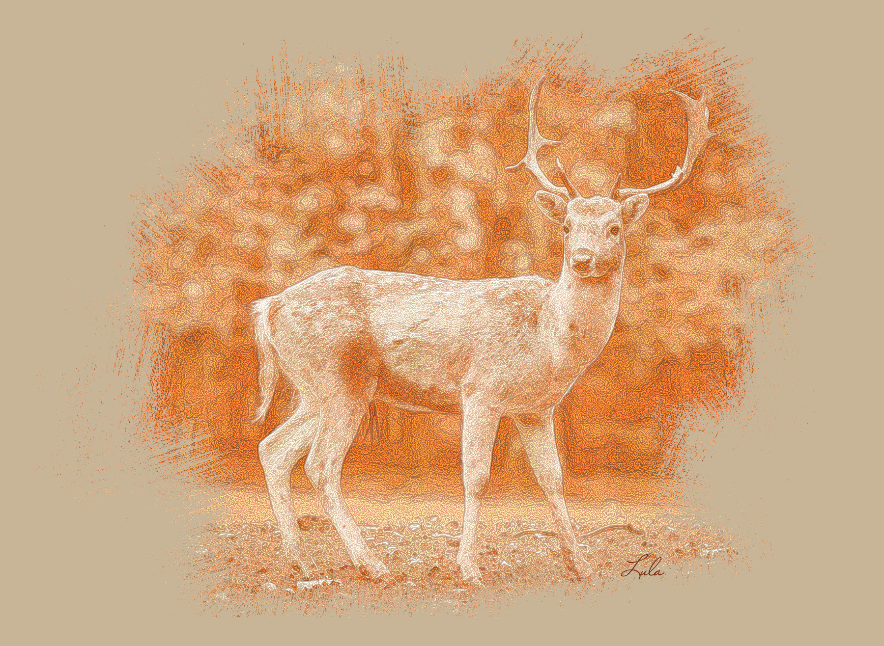 Cerf.DN.Draw Sanguigna.jpg