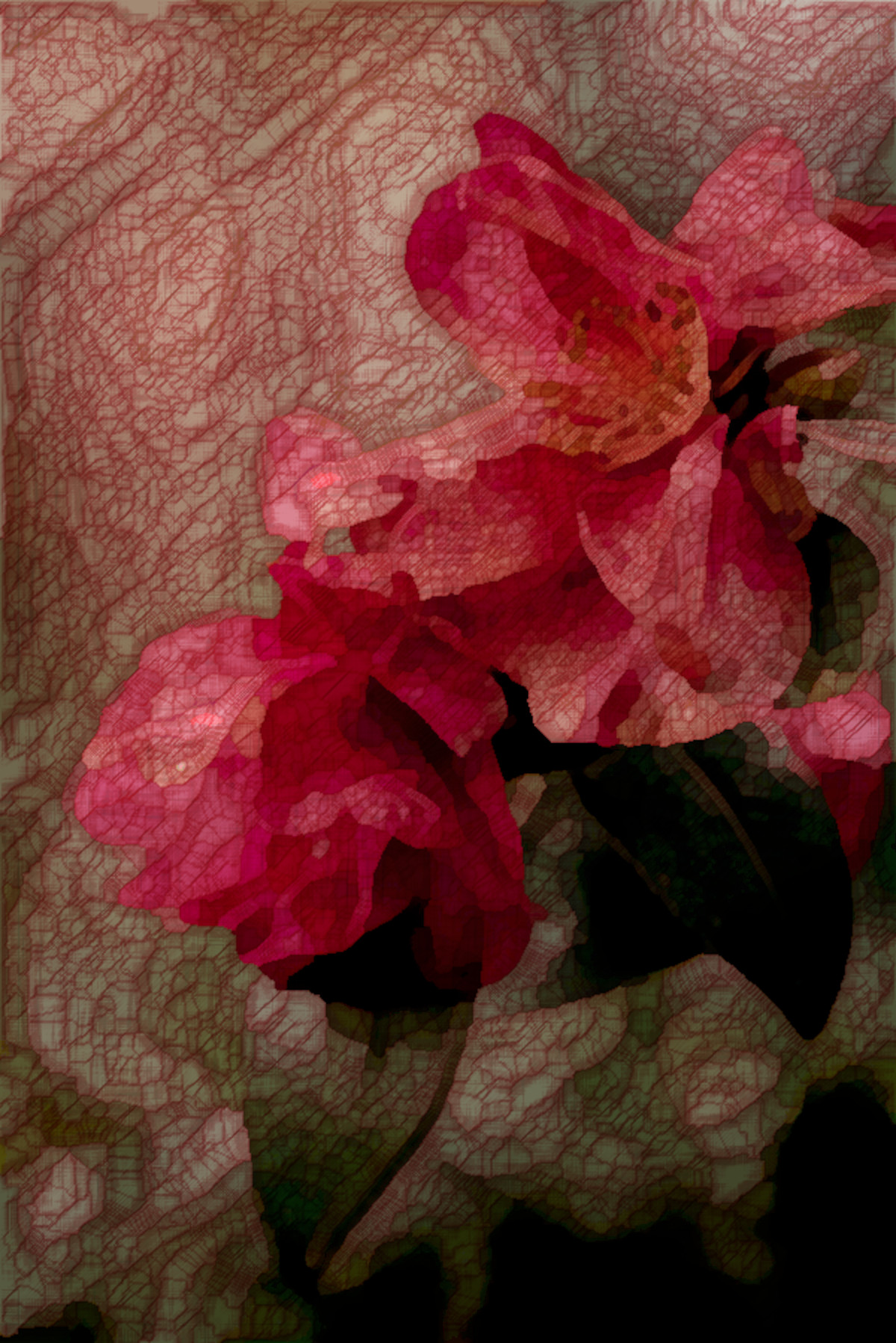 2022-01-08 10-42-01laura-adai-591e4sQnS3o-unsplash as a drawing using Sylvie Textures (using nuance=[224,128,137]).jpeg