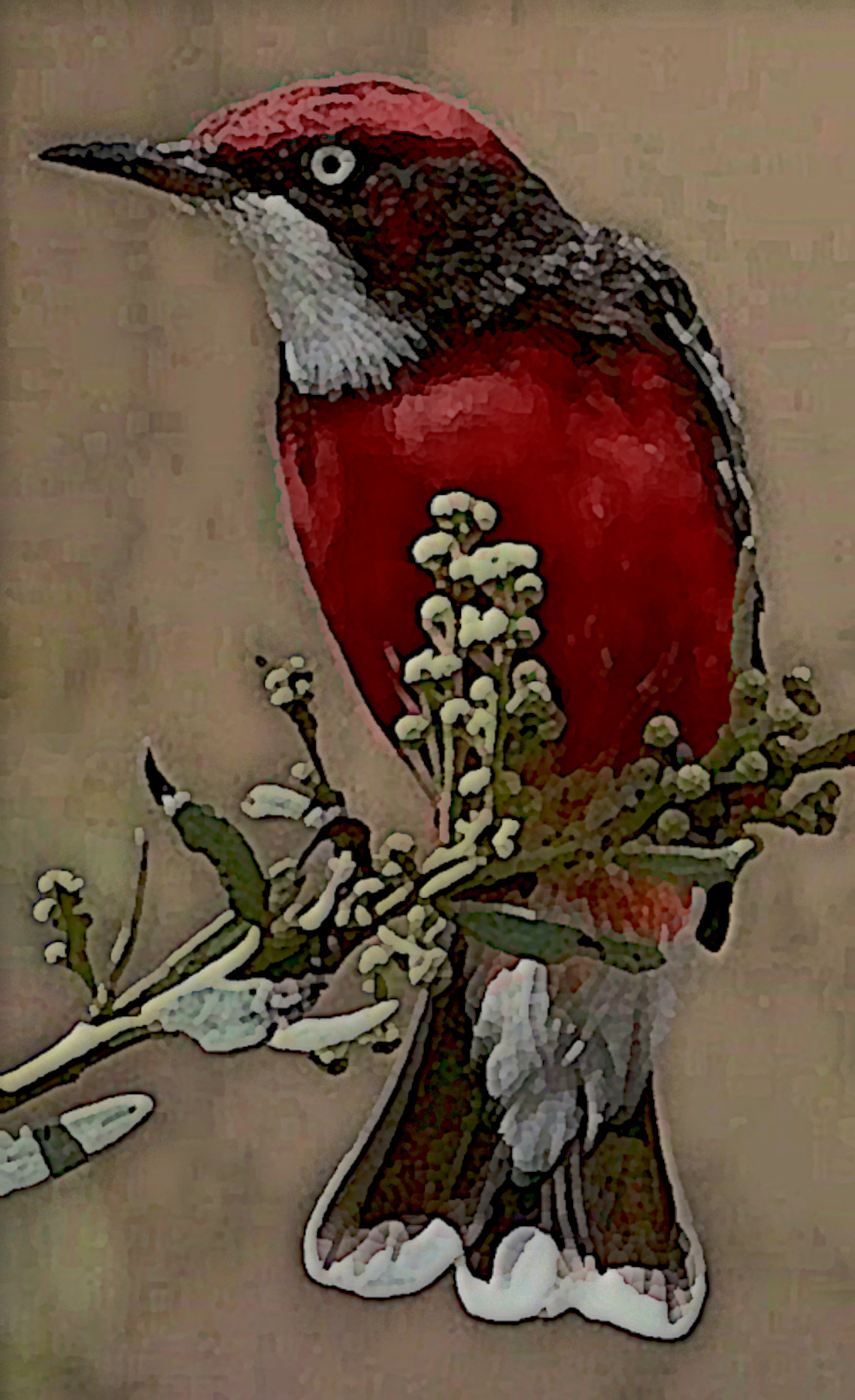 4e36e40a4dea33bd89688a_DN_SimpleGraphics_Gouache_Effect.jpg