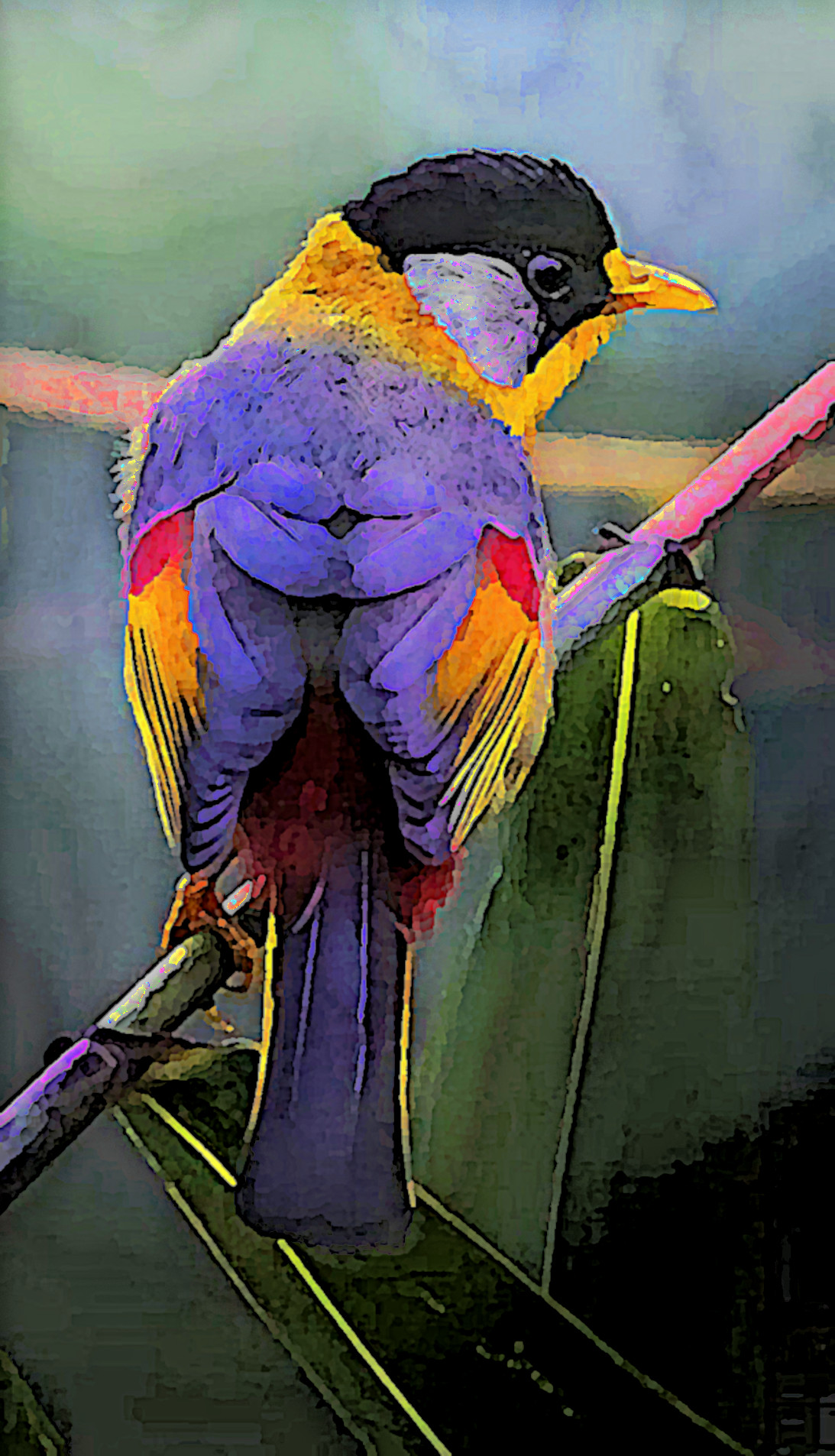 1d4e15d75a0dd5acf4e0b_DN_SimpleGraphics_Gouache_Effect.jpg