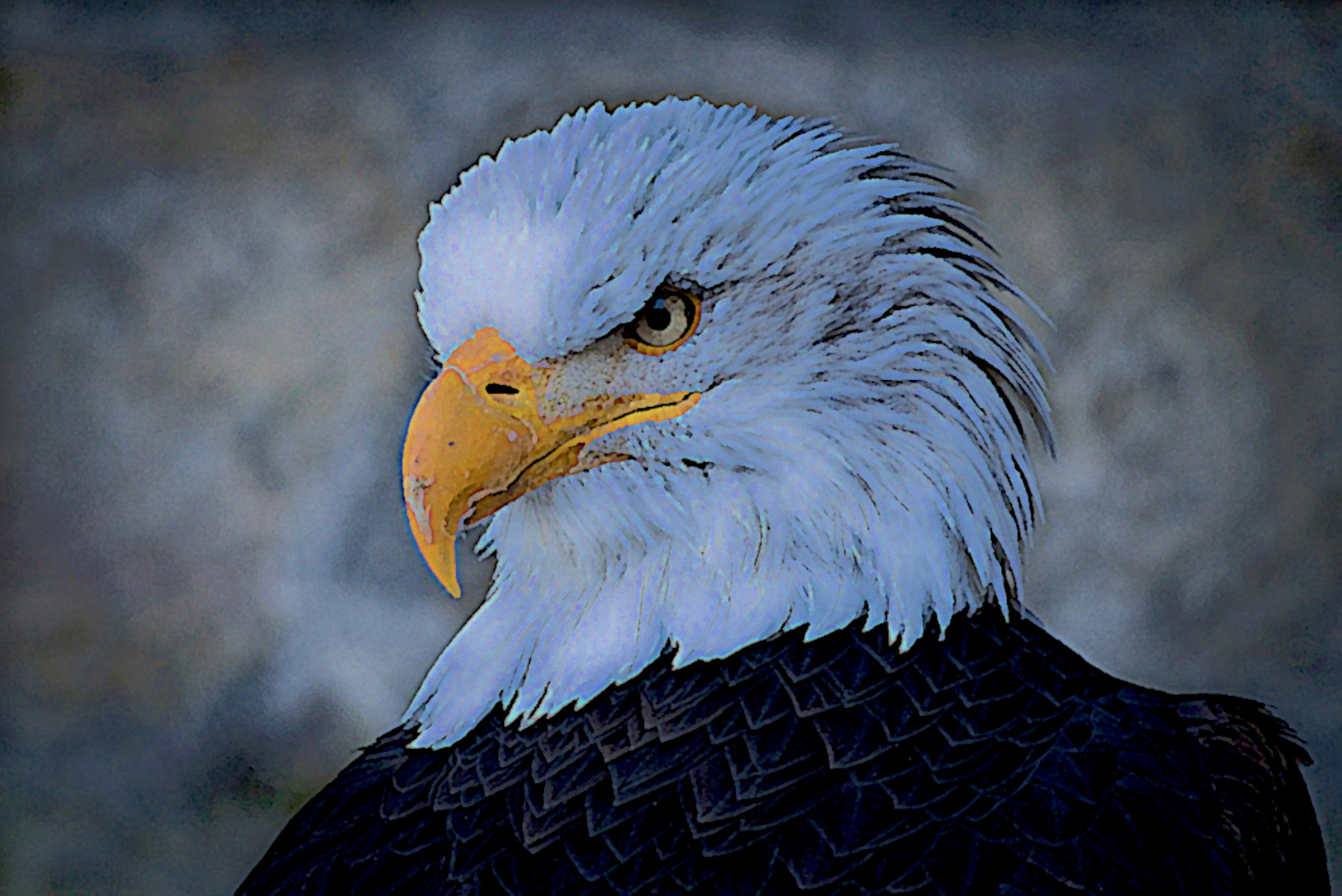 adler-6194438_DN_SimpleGraphics_Gouache_Effect.jpg