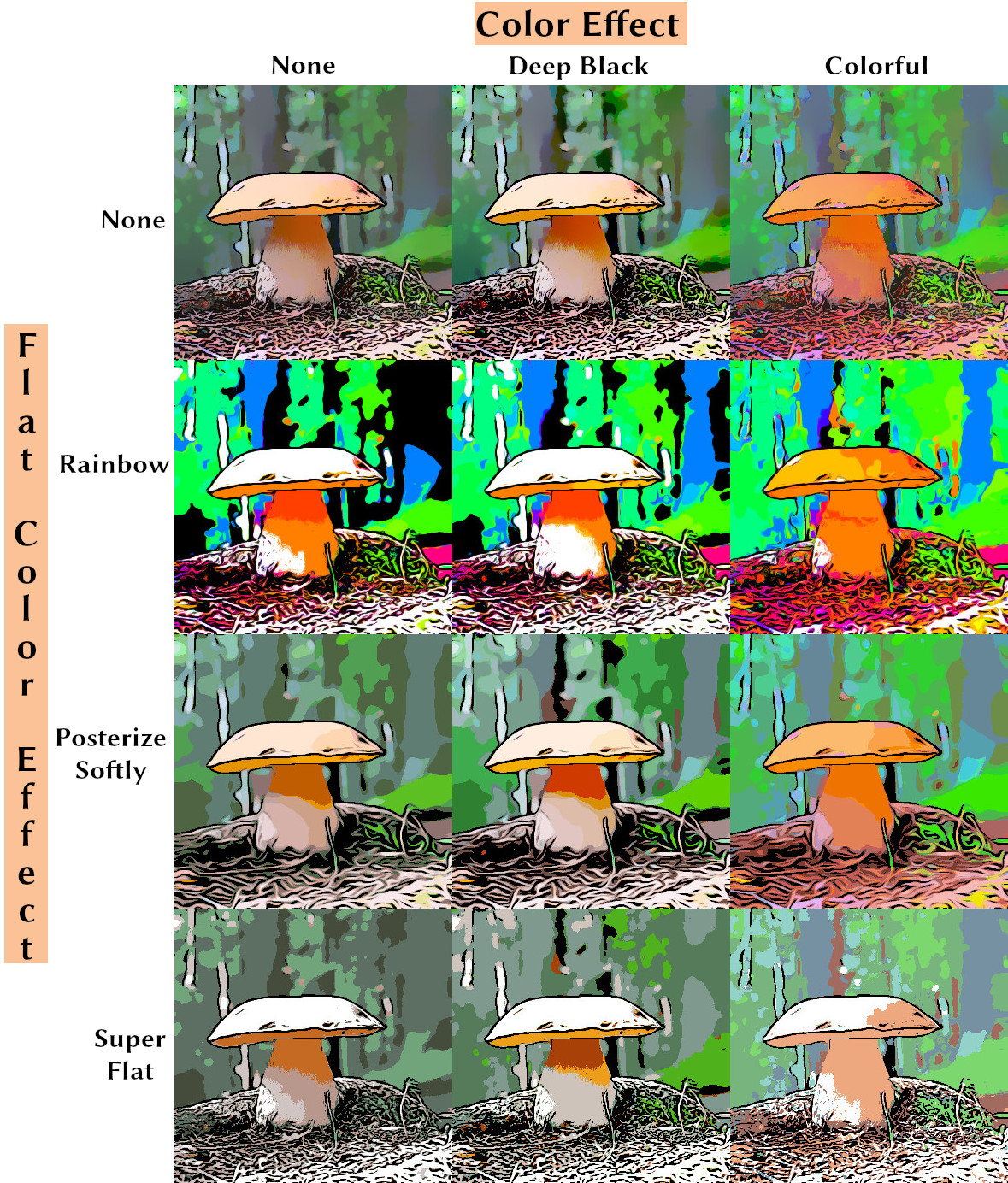King_Boletus__Boletus_edulis_small_addiEffect_compare2.jpg
