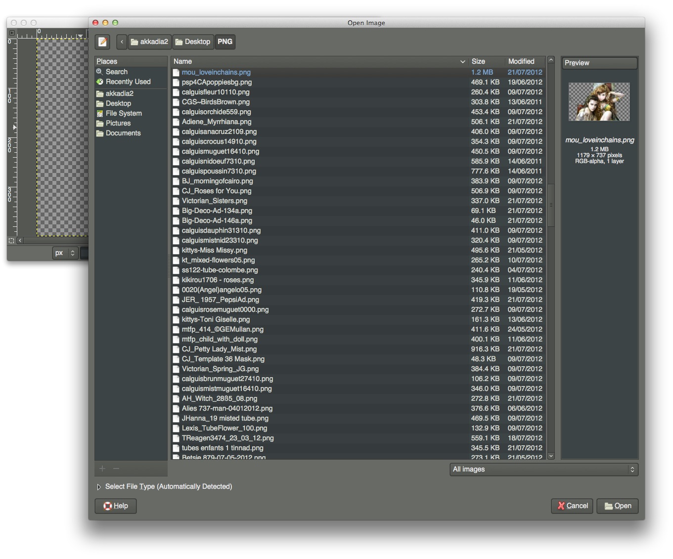 Screen Shot 2012-08-04 at 10.40.41 AM.jpg
