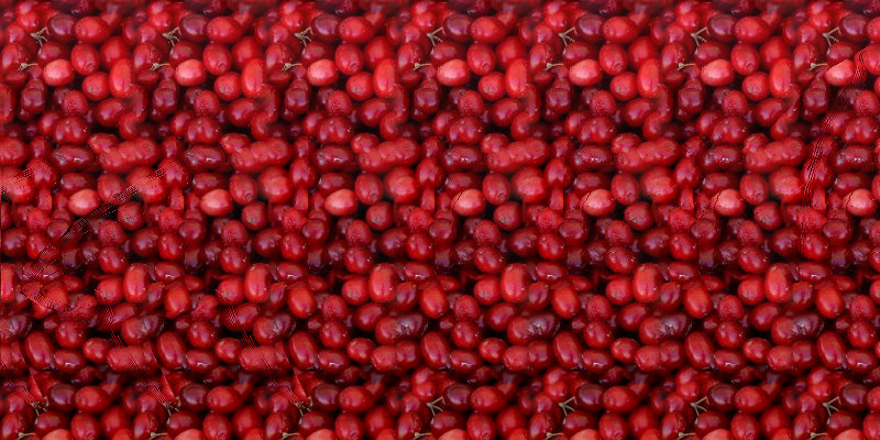 sharkberries.jpg