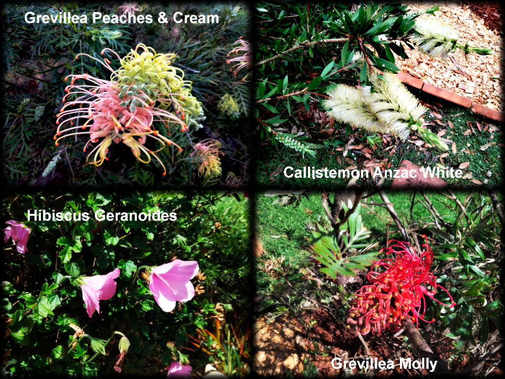 spring_collage.png