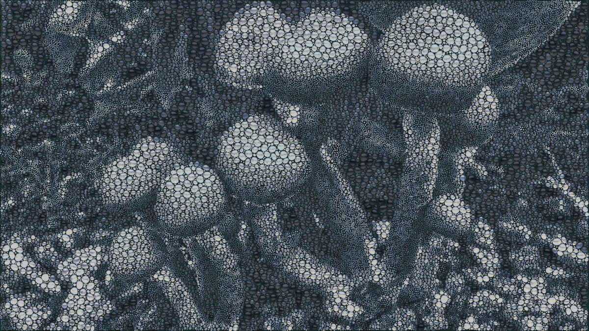 beaded mushrooms_sm.jpg
