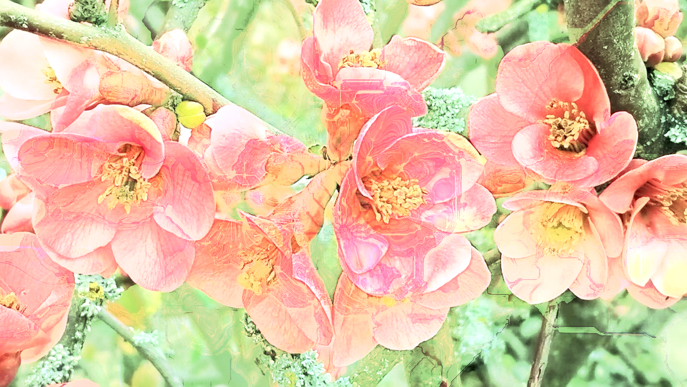 img_20230407_121719605_by_simonalora_(manipulation thru GMIC Fractalize).png