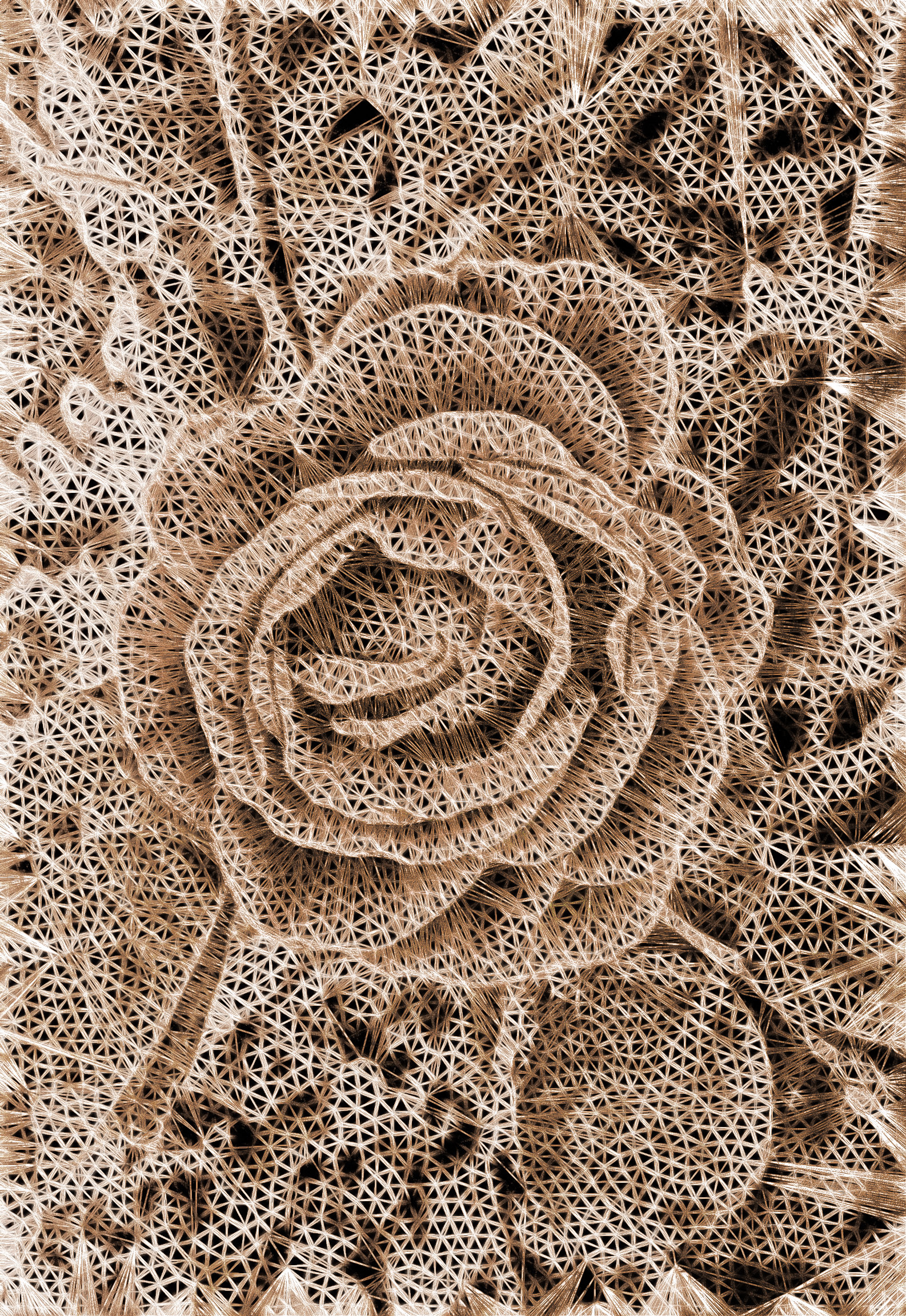 Rattan_Rose.jpg