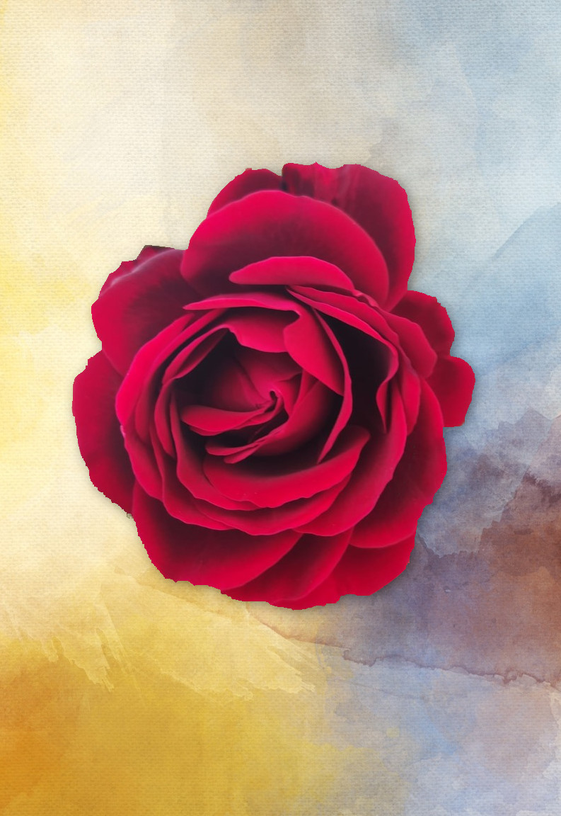 Rosa-Roja_A.JPG