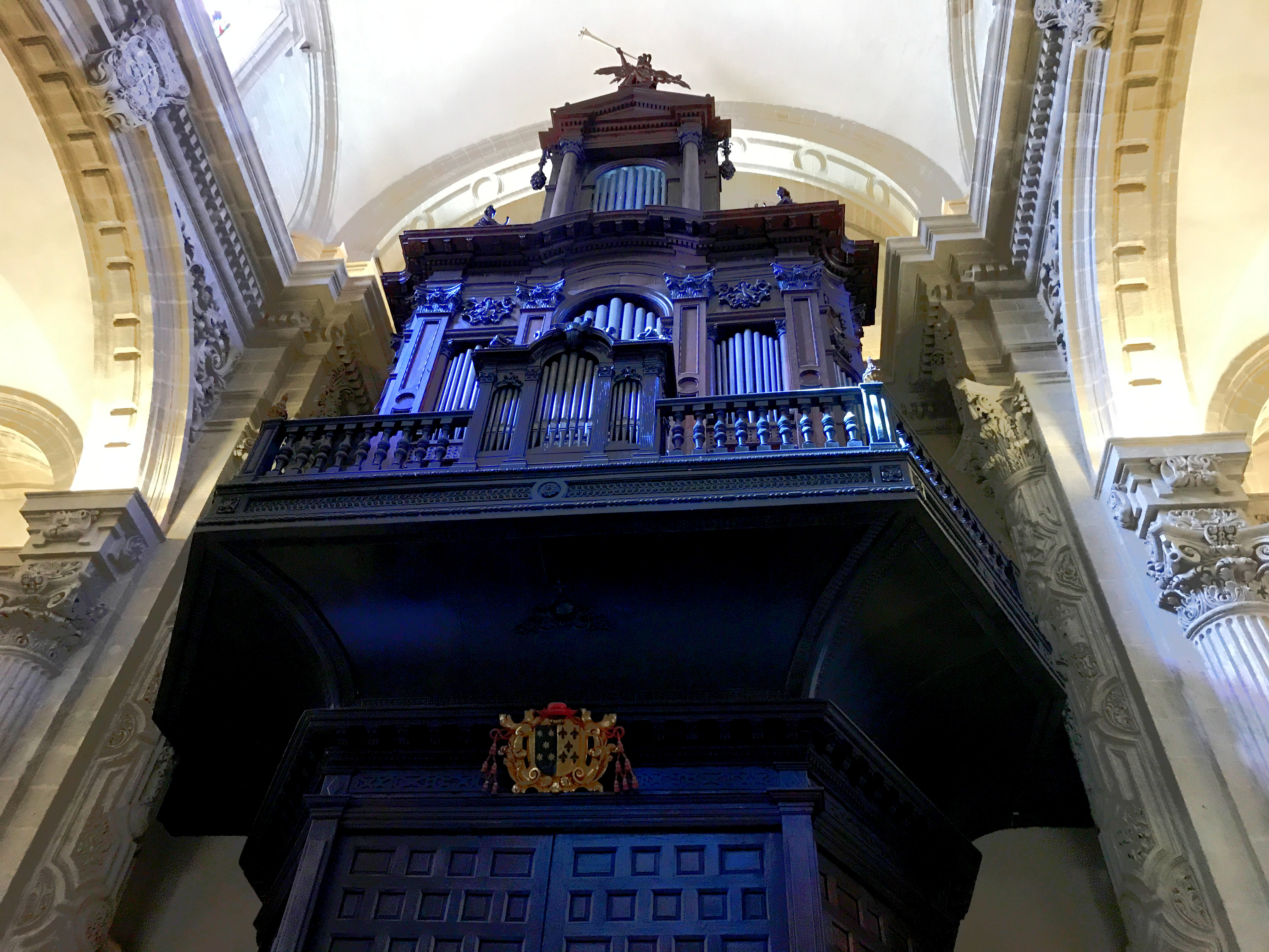 IMG_4396_1.JPG