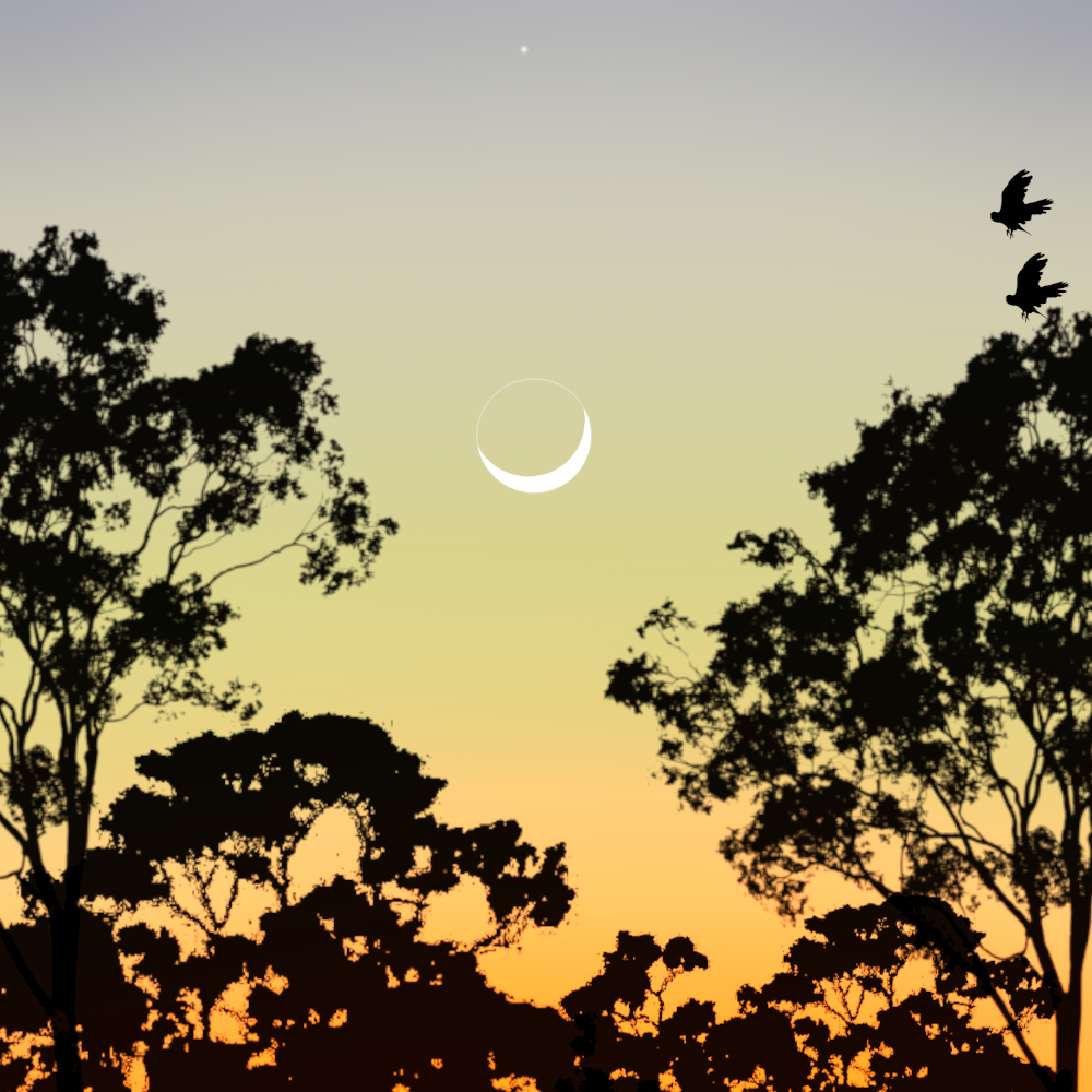 the_park_at_dawn.png