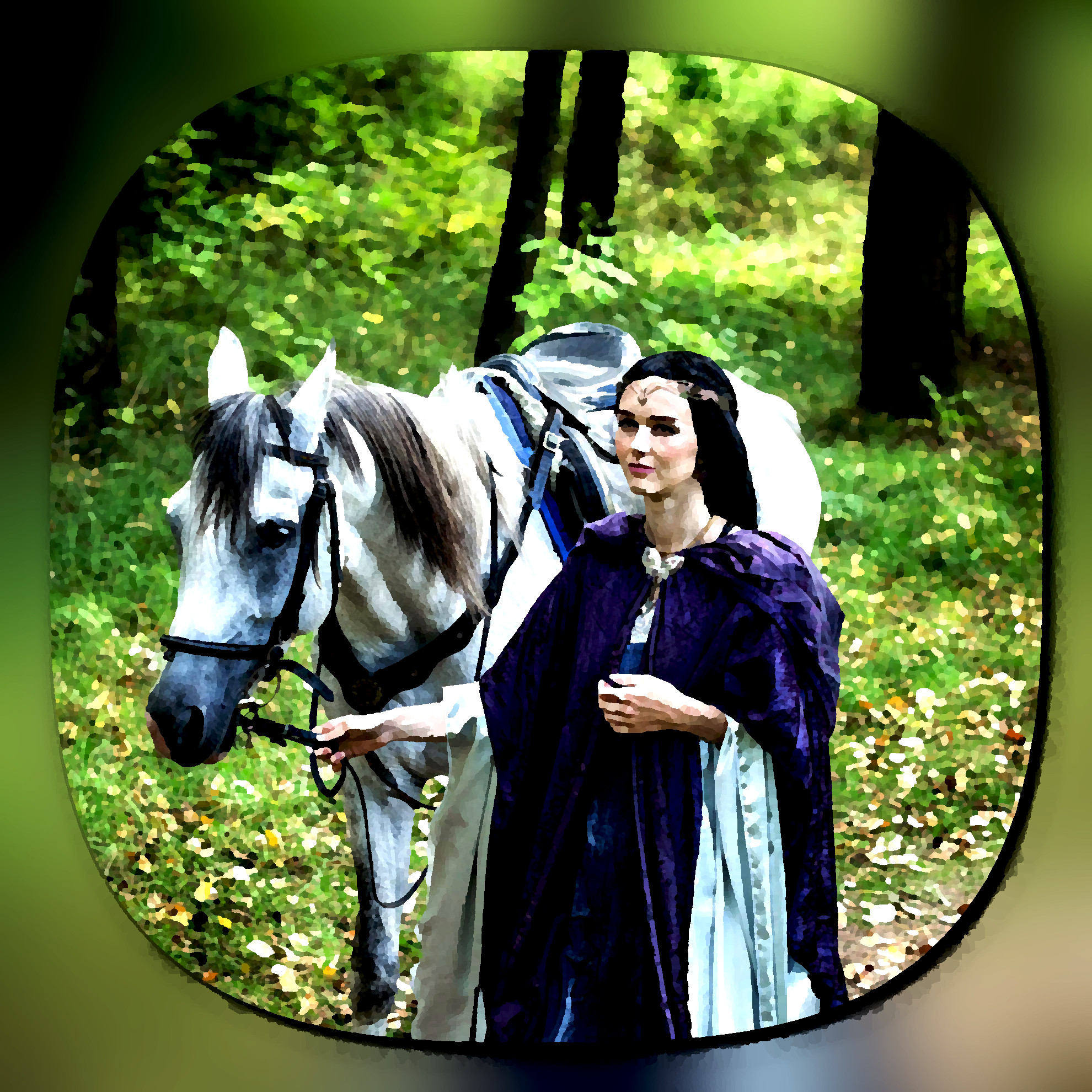 2023-05-25 18-57-31arwen_by_aquilina108_db7hoa0-fullview_portrait with a framed Artistic effect, style Kuwahara.jpg