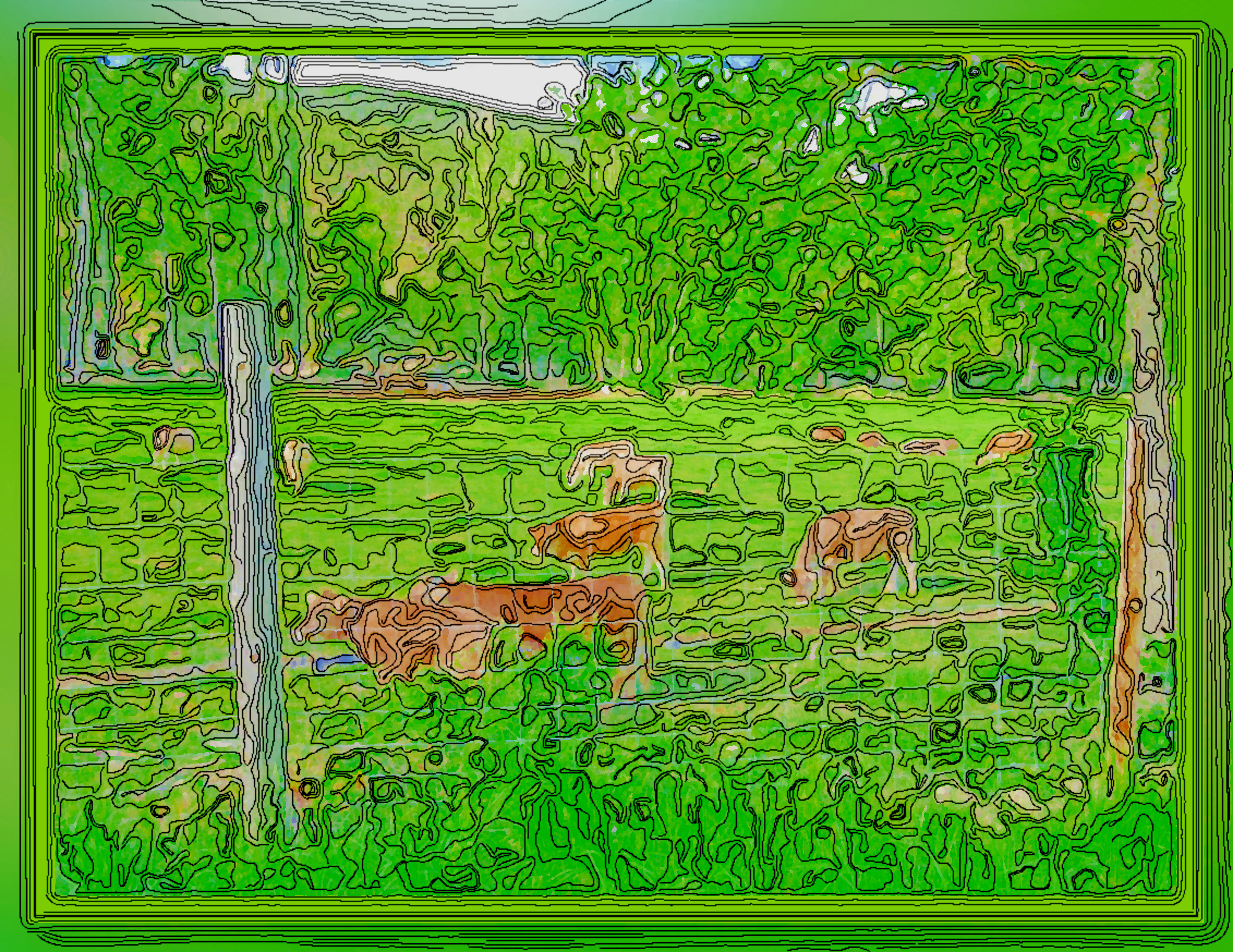 IMG_2840_dn-ddodle-framed.JPG