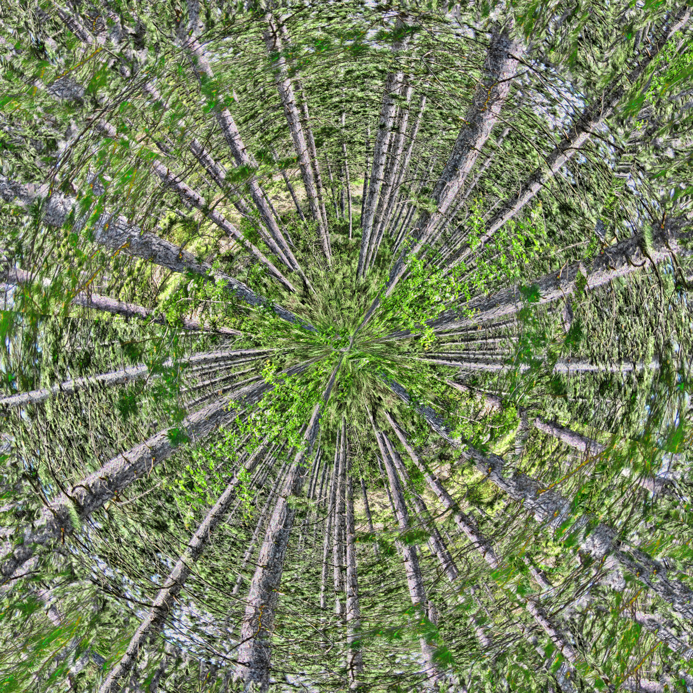 Drones View.jpg