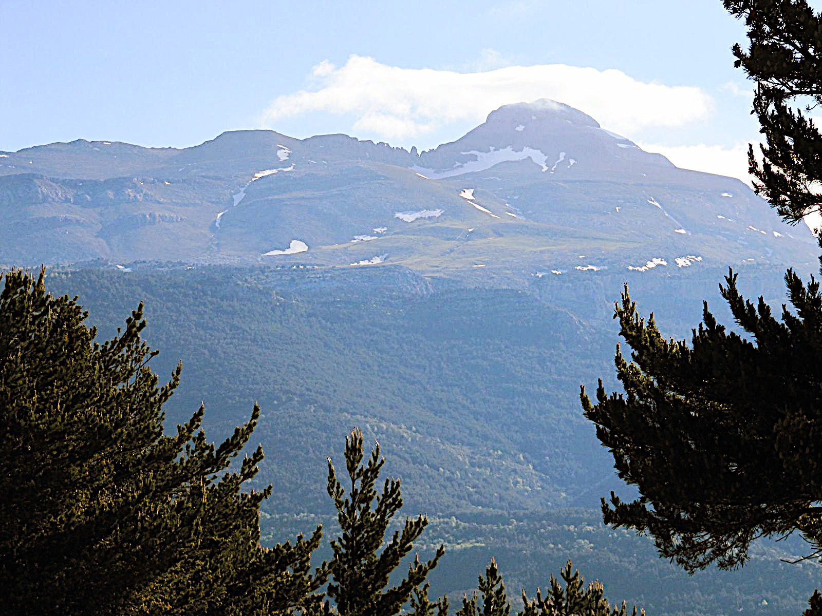 IMG_2908_E.JPG