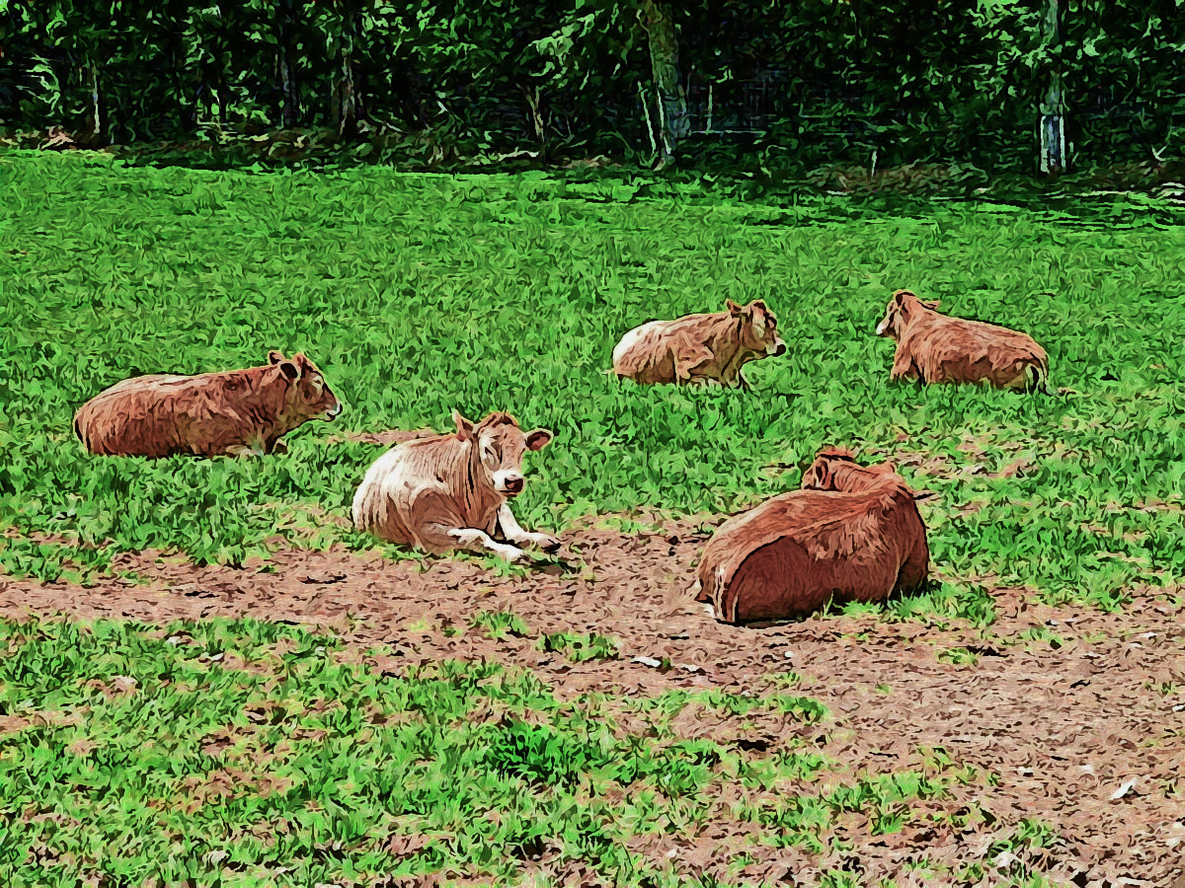 Happy Moos.jpg