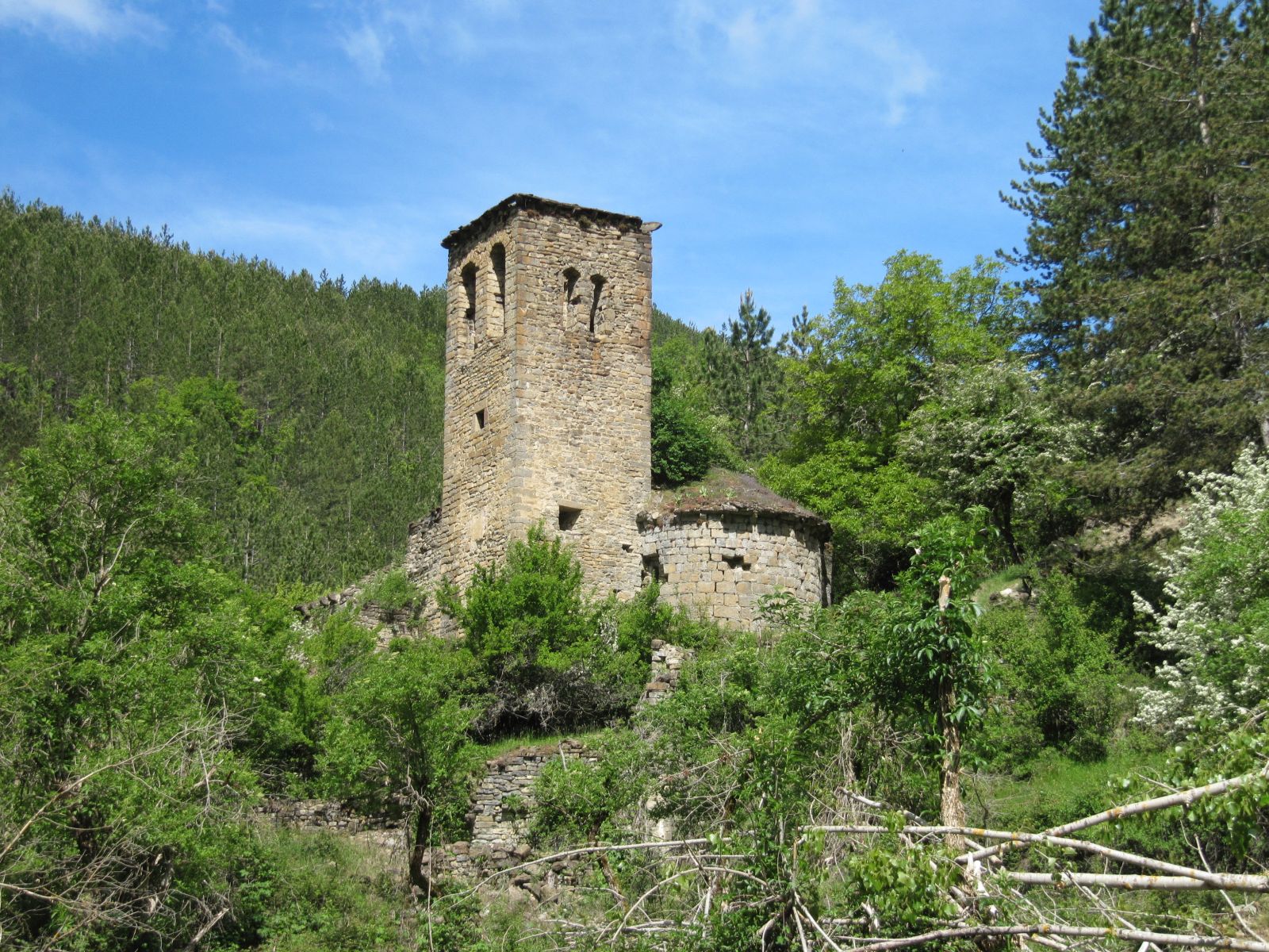 IMG_2875.JPG