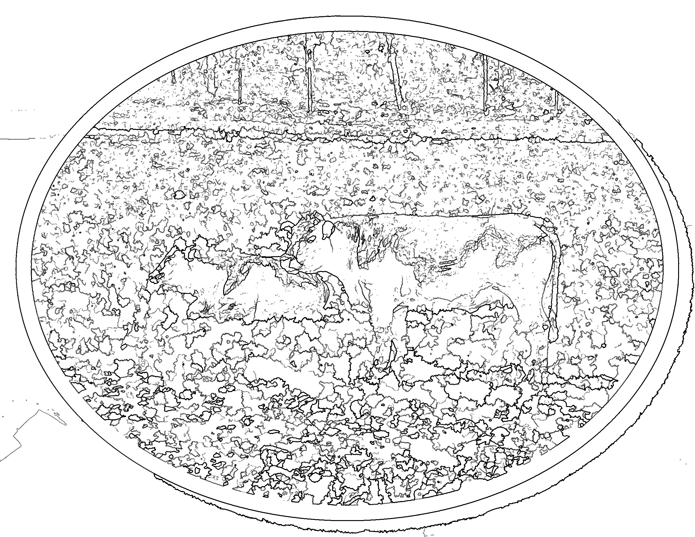 IMG_2889_dn-lineart.jpg