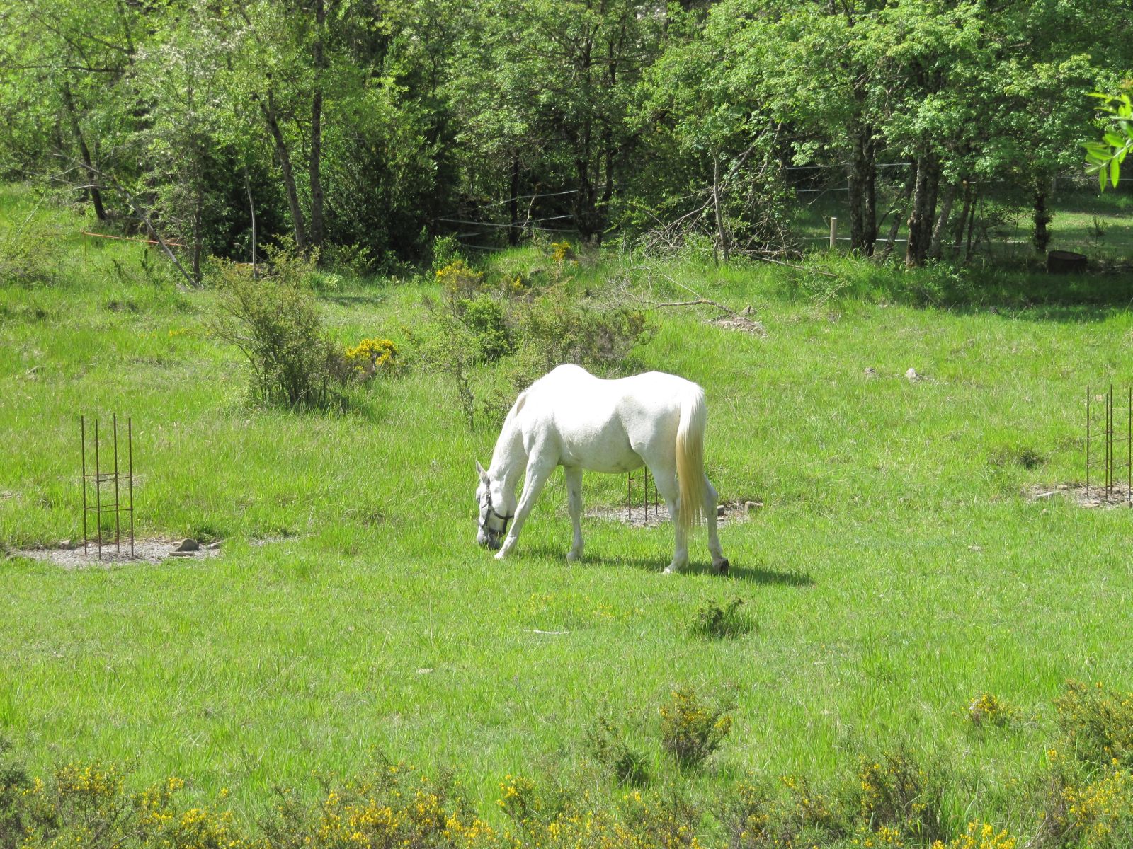 IMG_2881.JPG