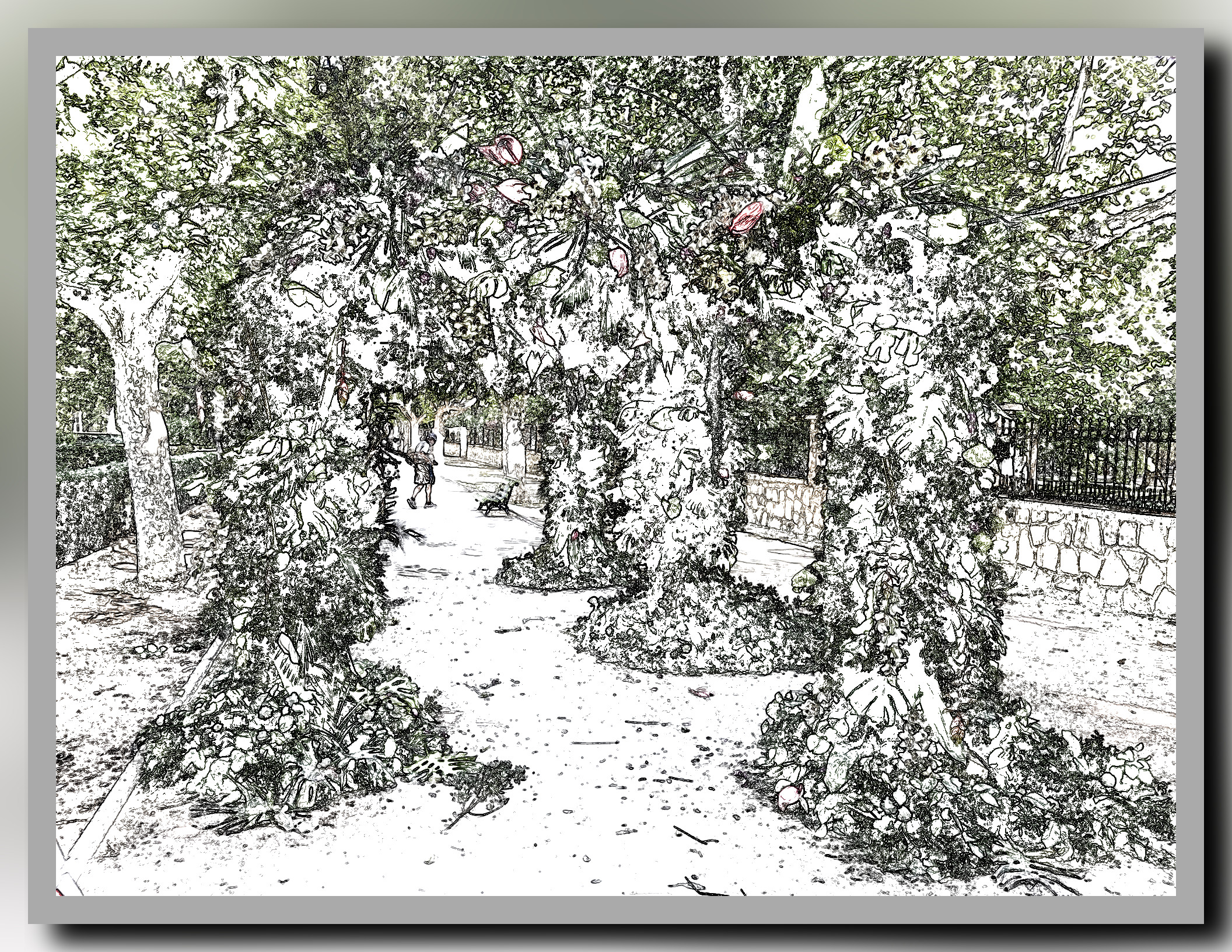 dn_thumbnail_IMG_7725 with a framed line art effect, with a bit of colours.jpg