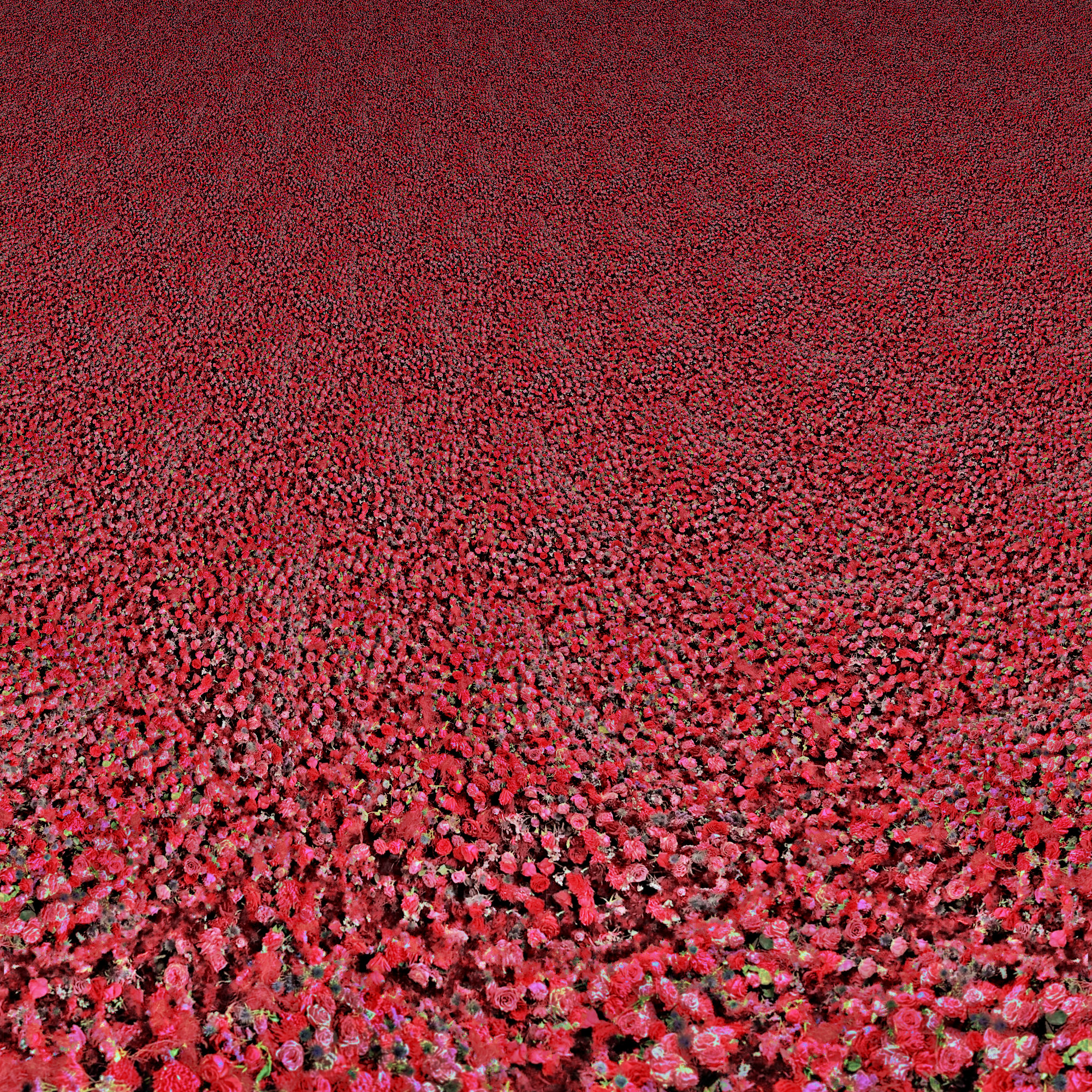 floral_flood.jpg