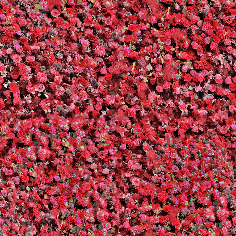 flowers.jpg