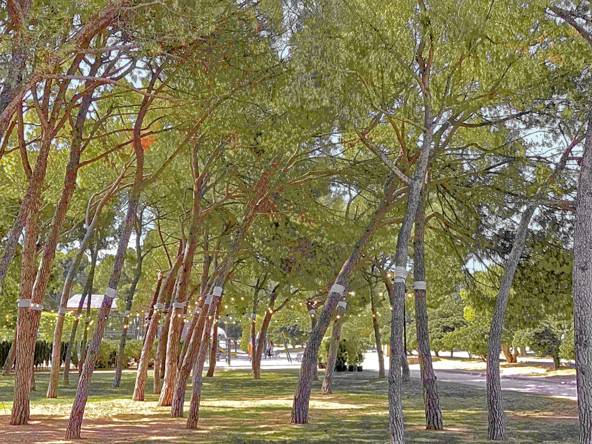 fake_hdr.jpg