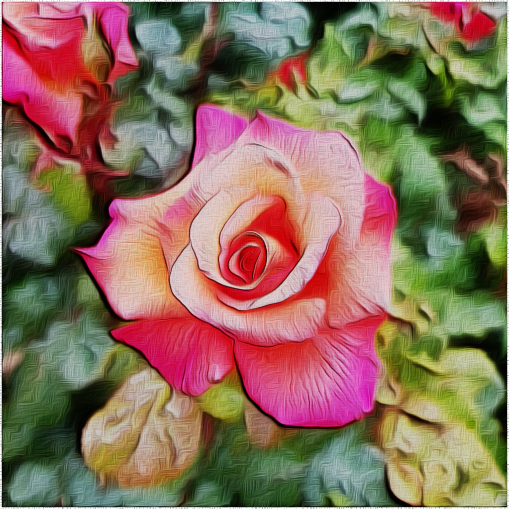 rose_2.png
