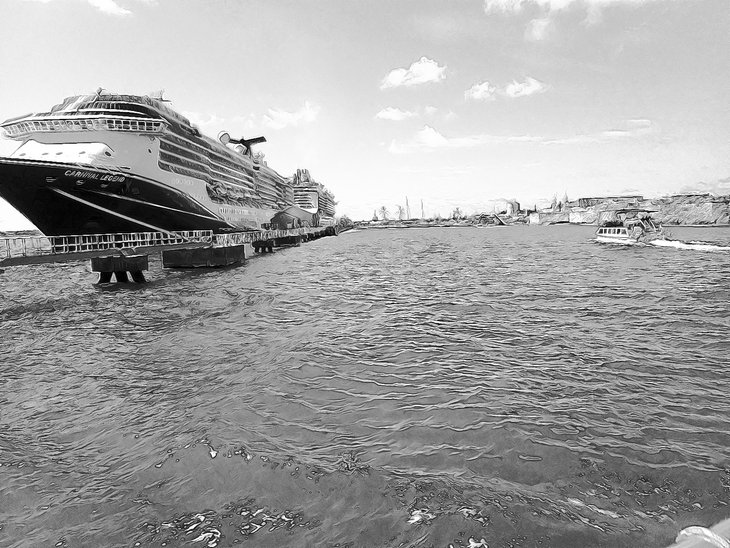 Bermuda-bw.JPG