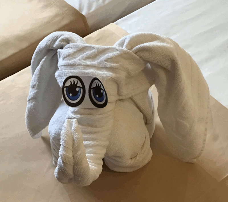 elephant.gif