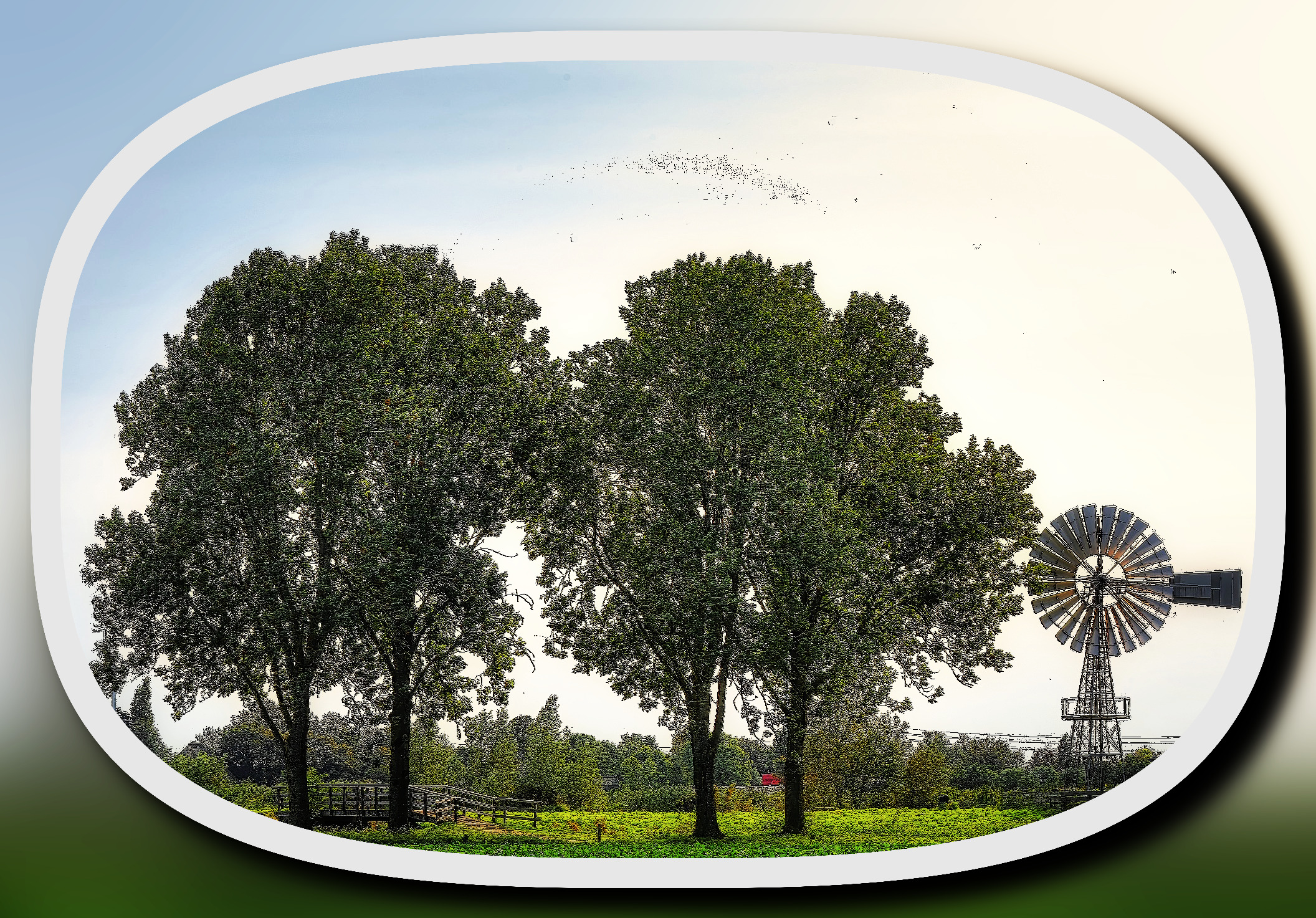 trees-7937129_DN_LineArtFramed_Convolve Cross 1.jpg