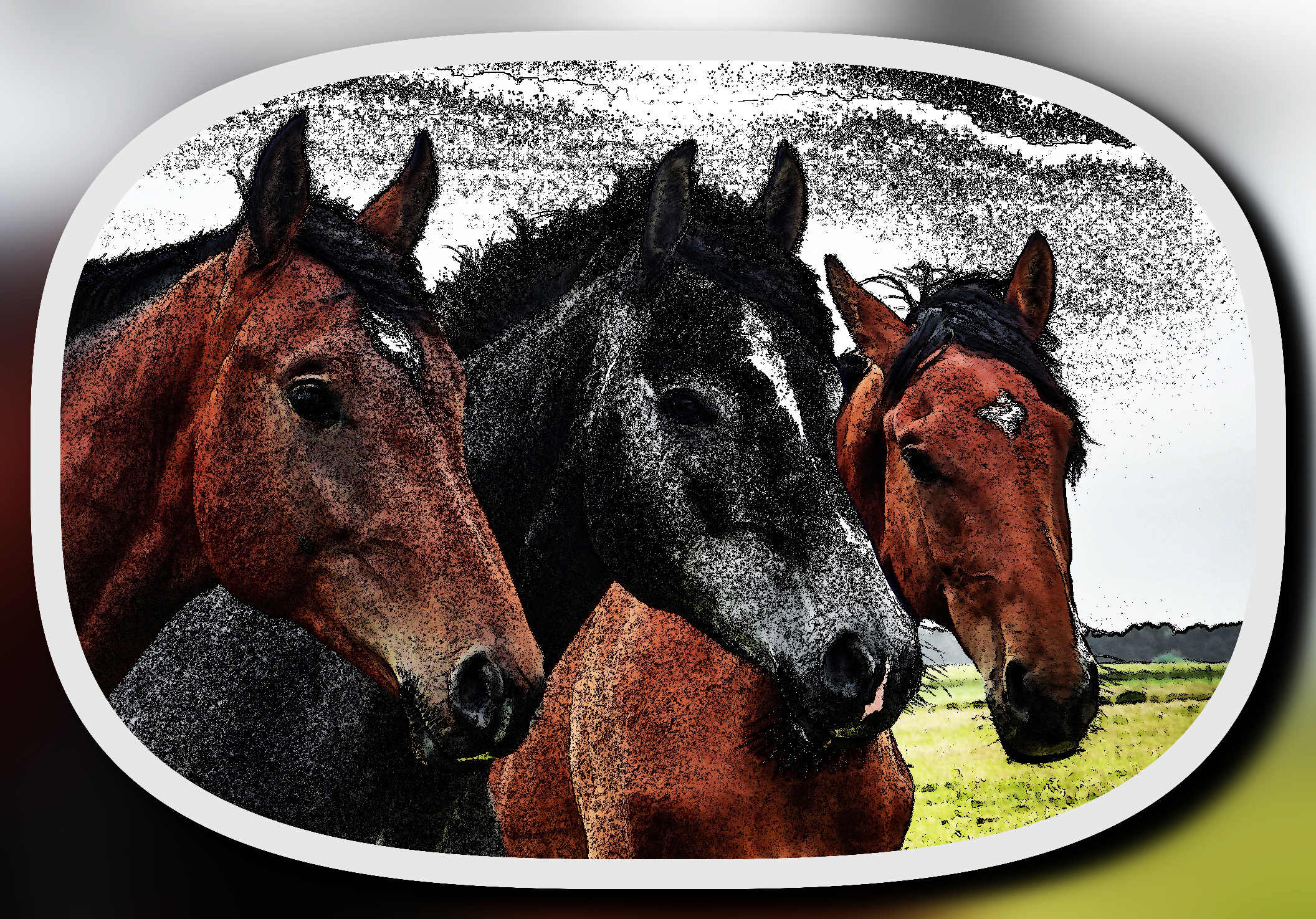 horses-1414889_DN_LineArtFramed_Gradient_Normalize.jpg