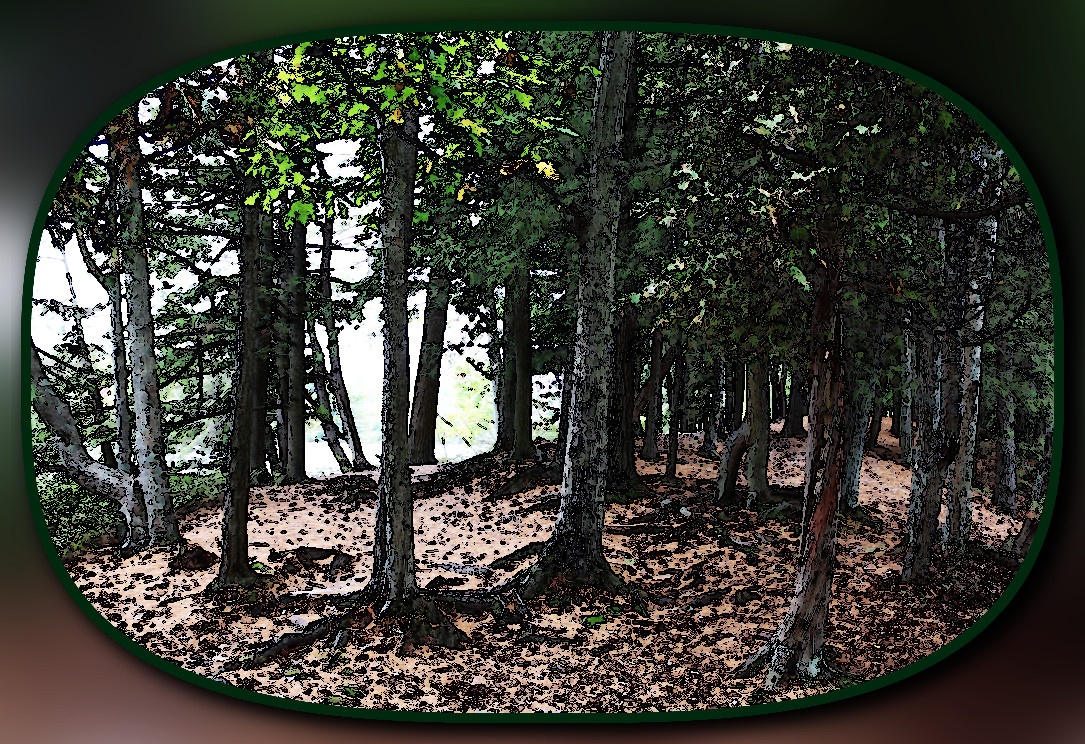 stock_photo_6_by_phoenixrisingstock_dete8n5_DN_LineArtFramed_Gradient_Normalize.jpg
