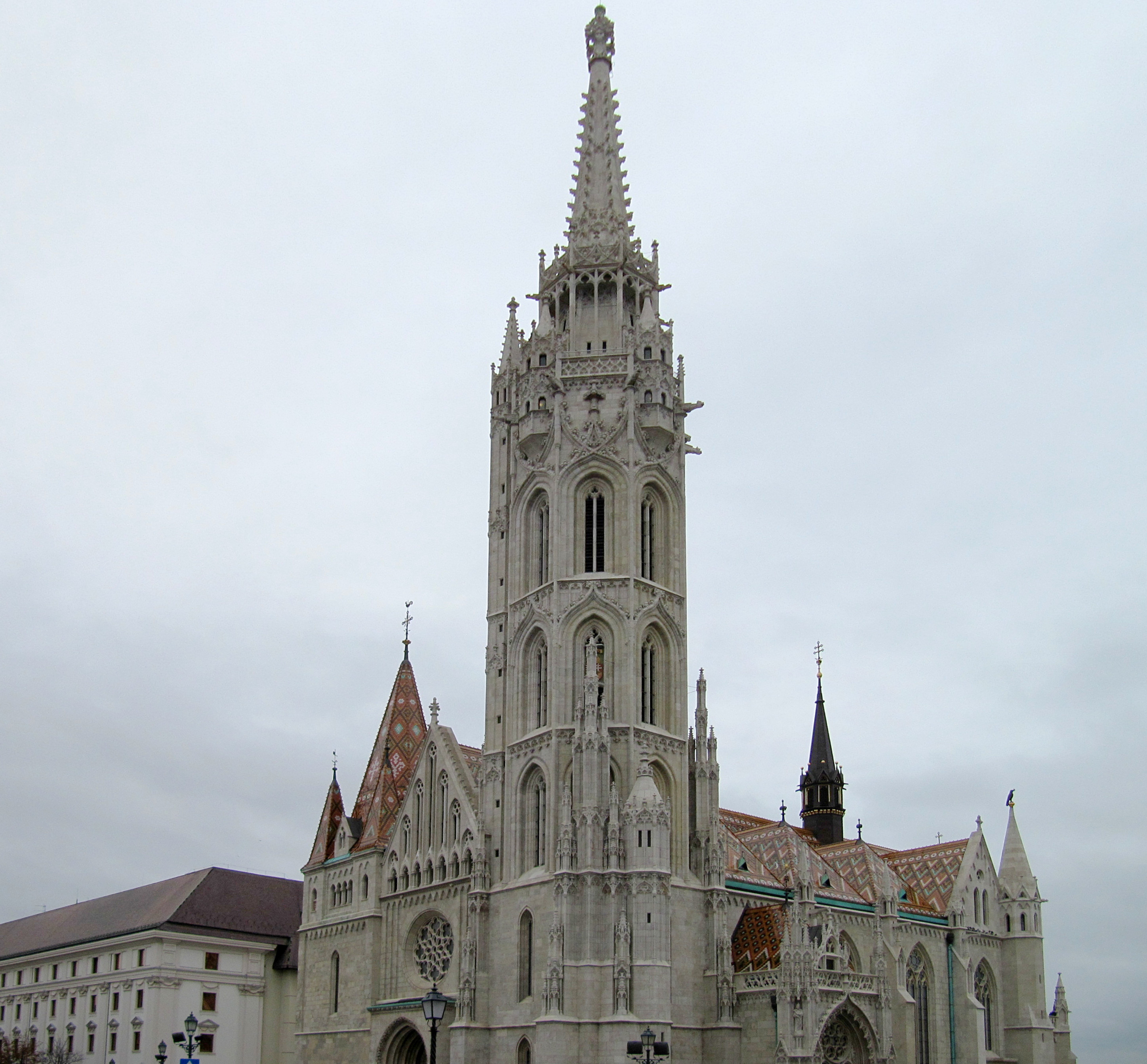 IMG_2213_1.JPG