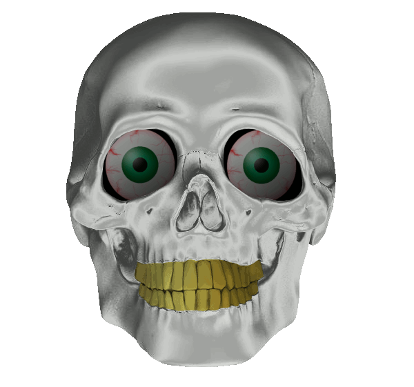skull.gif