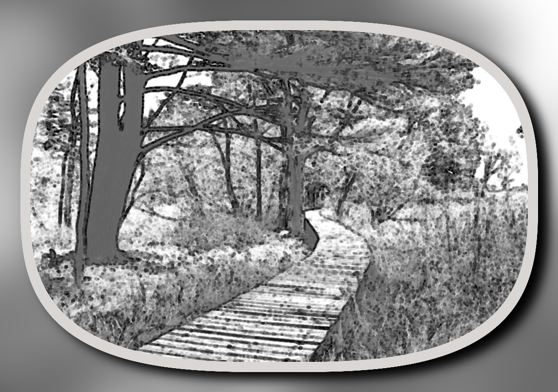 stock_photo_1_by_phoenixrisingstock_desz286_DN_LineArtFramed_Afre Edge_erode.jpg