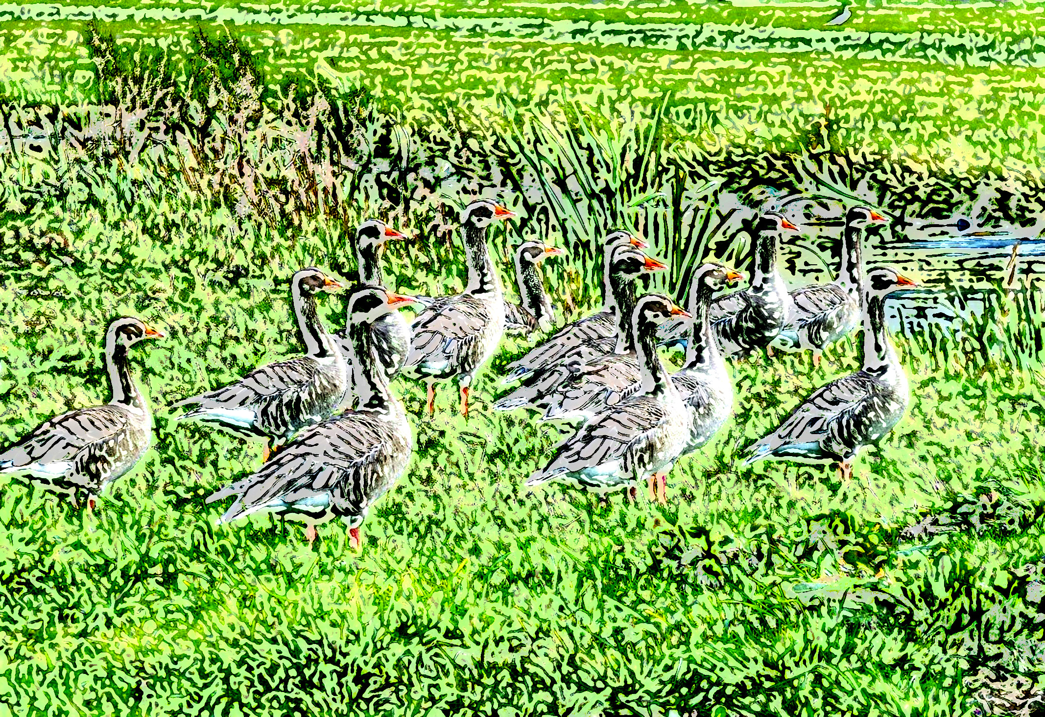 geese-7898732_DN_Artistic_and_Divide_Painting.JPG