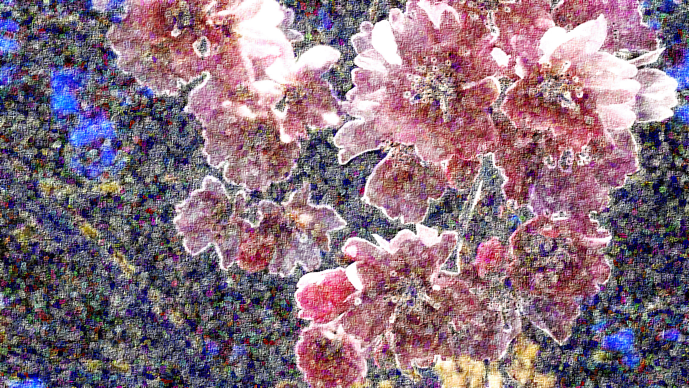 img_20230402_113446493_by_simonalora_DN_Artistic_and_Divide_LylePaint.JPG
