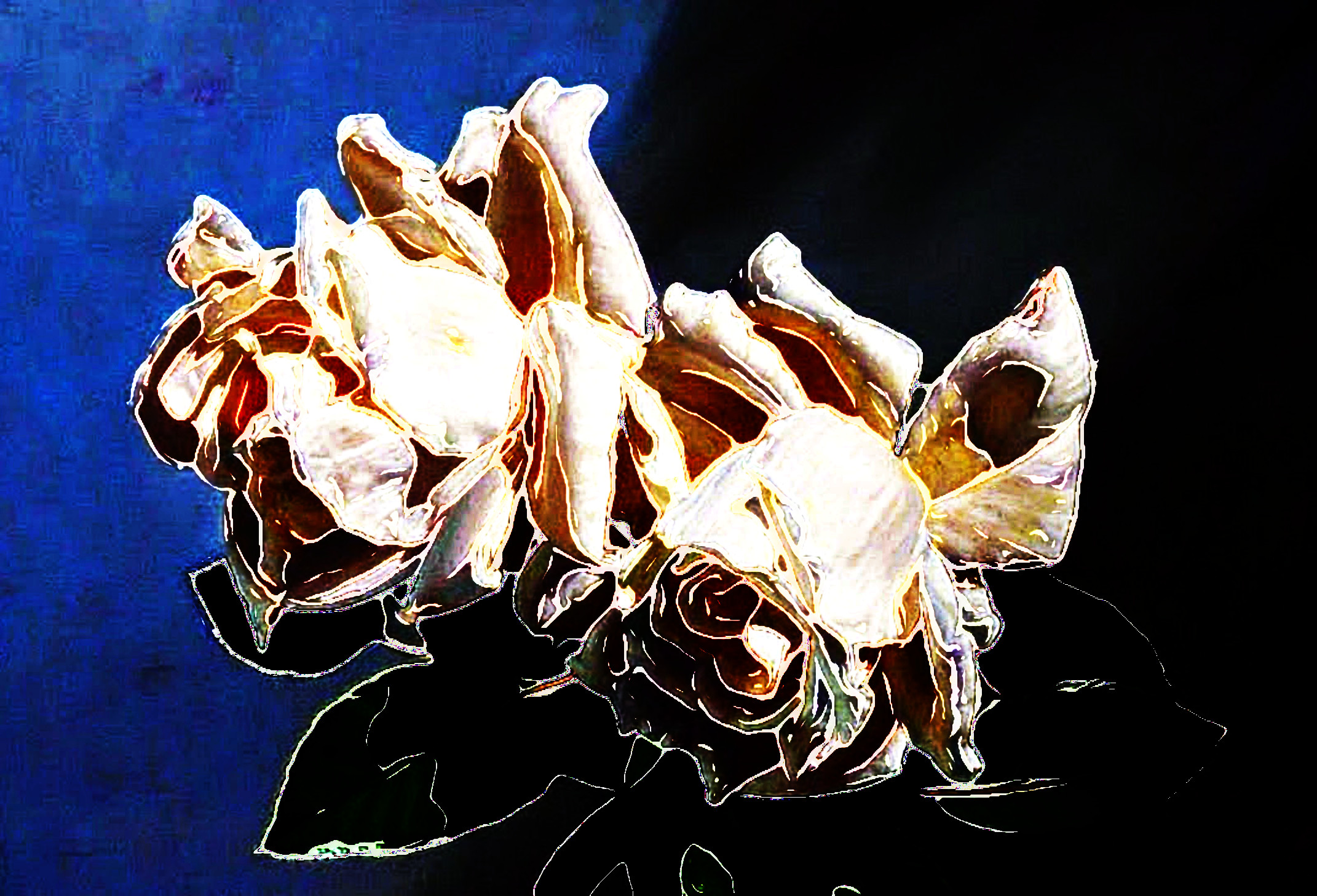 TwoWhiteRoses_DN_Artistic_and_Divide_ComicBook.JPG