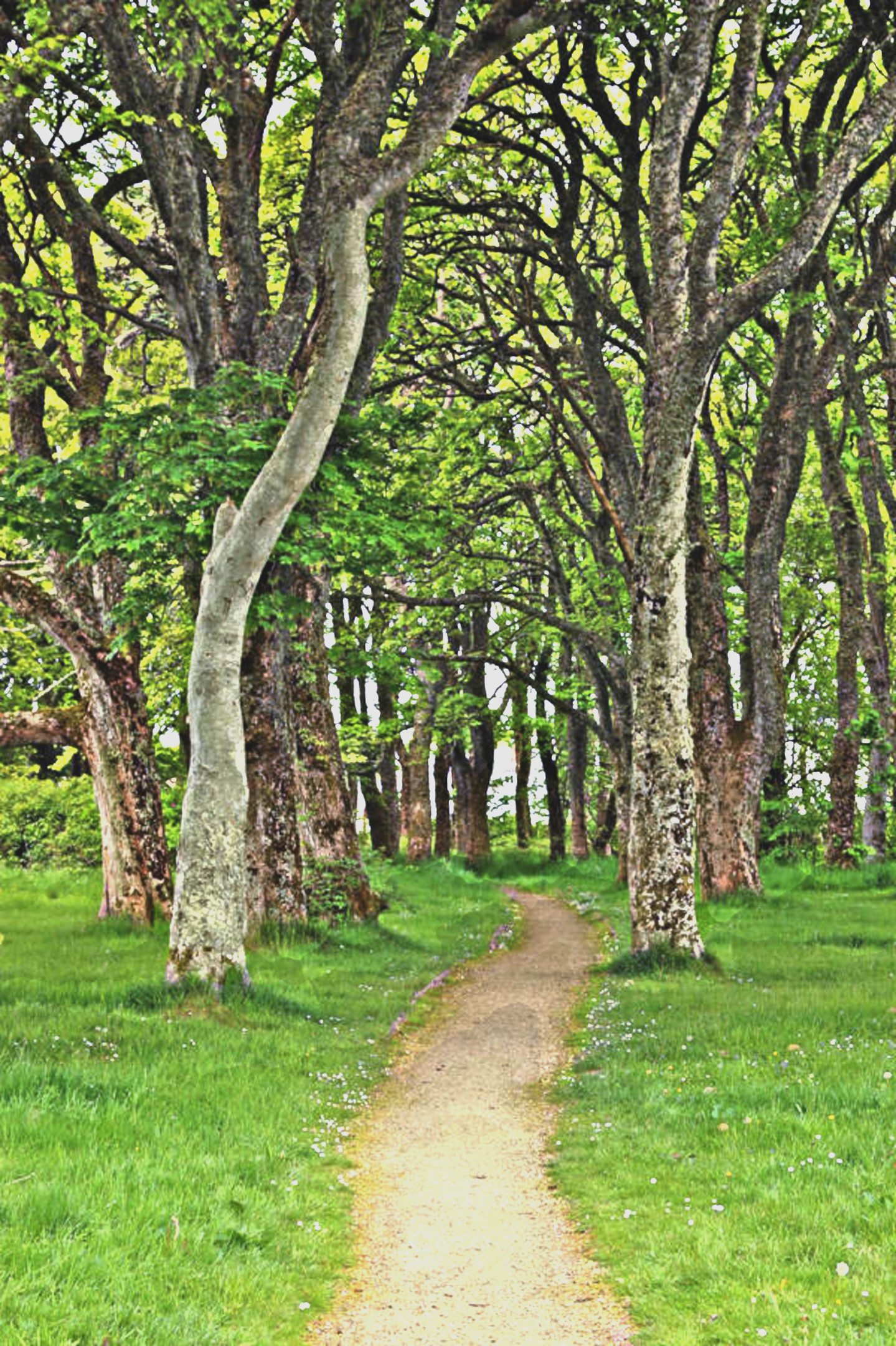 scotland_stock_493_by_malleni_stock_ddilu1o_DN_Artistic_and_Divide_CircleAbstract.JPG