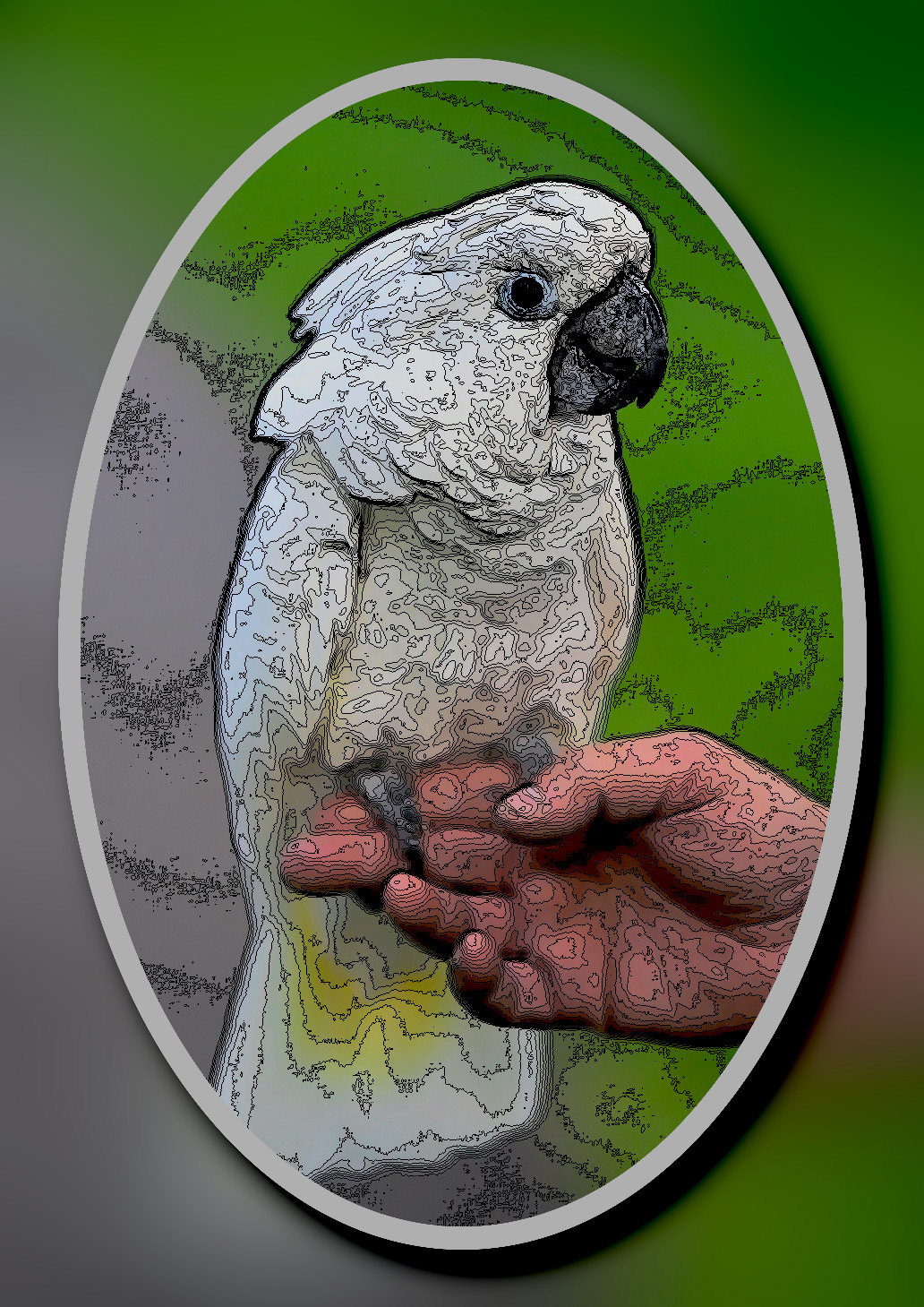 white-cockatoo-7985434_DN_LineArtFramed_Isofotes.jpg