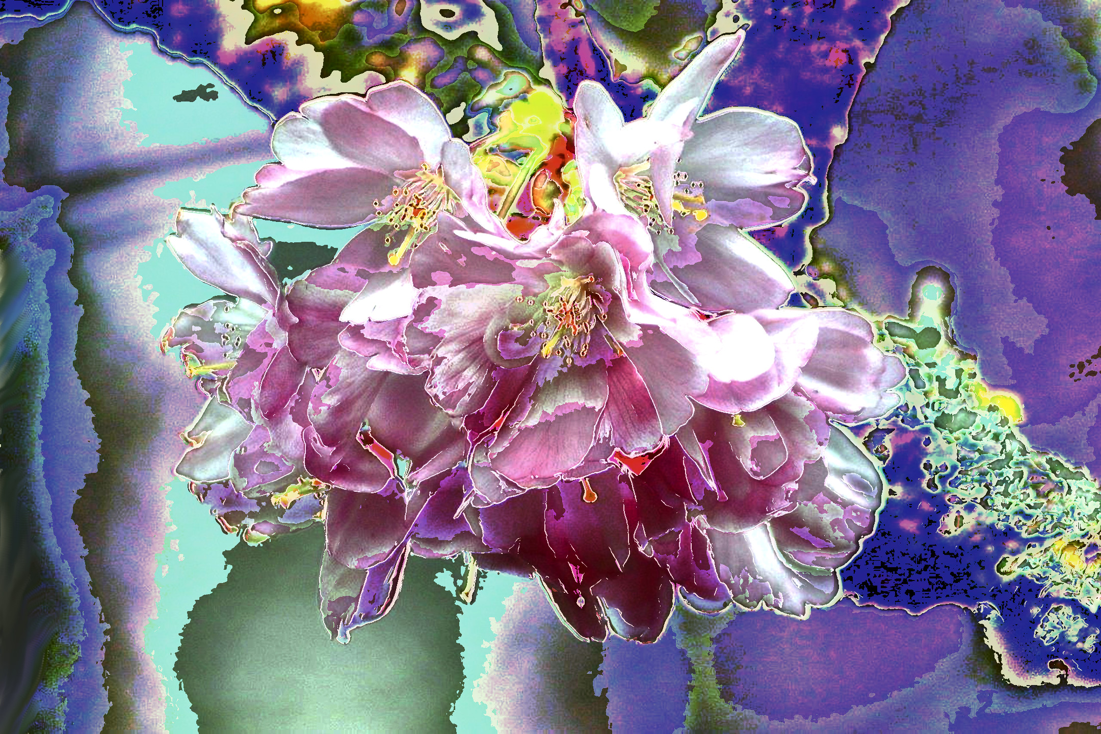 cherry-blossoms-7927688_DN_Artistic_and_Divide_Cartoon.JPG
