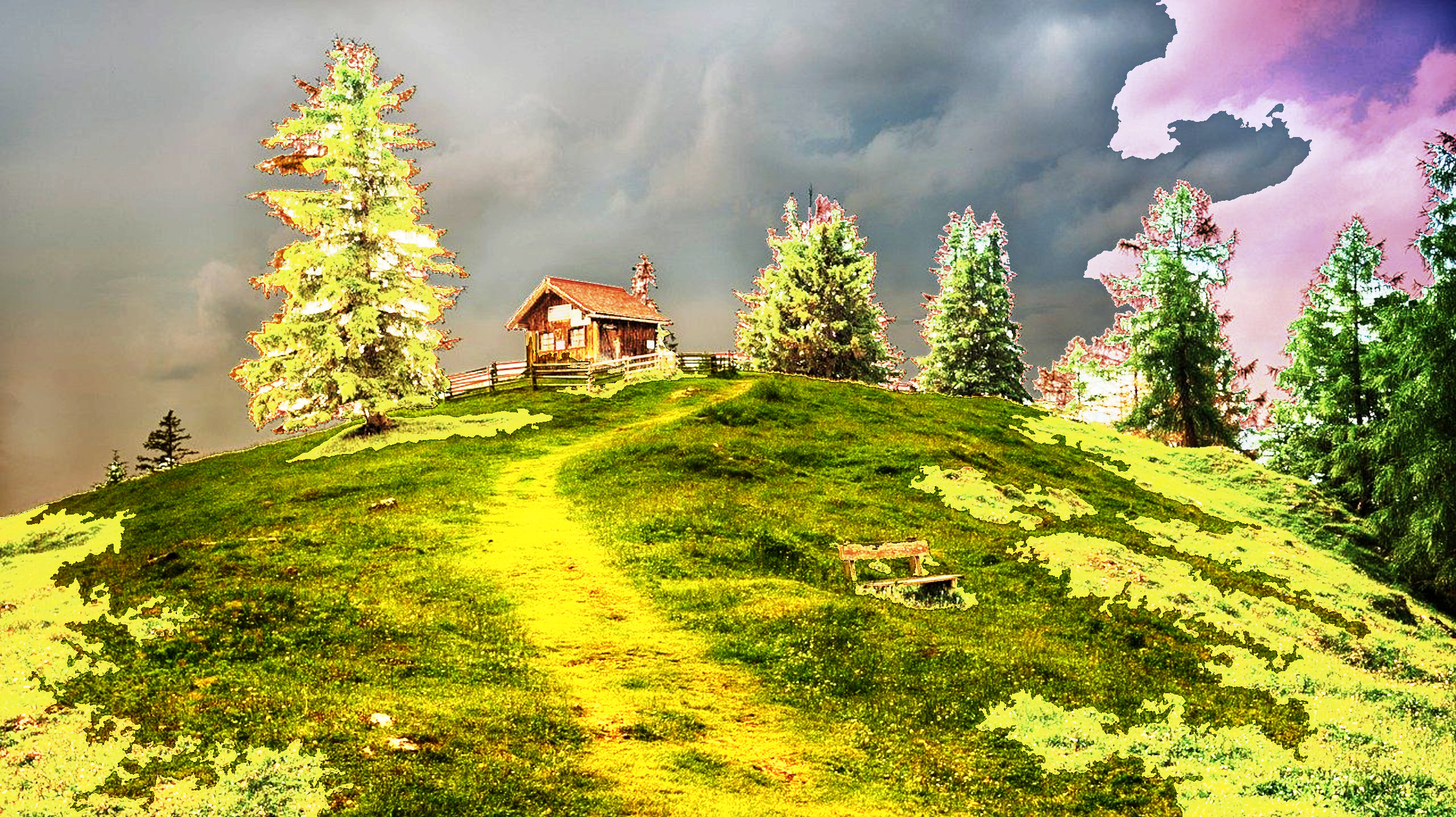 tree-3095683_DN_Artistic_and_Divide_CutOut.JPG