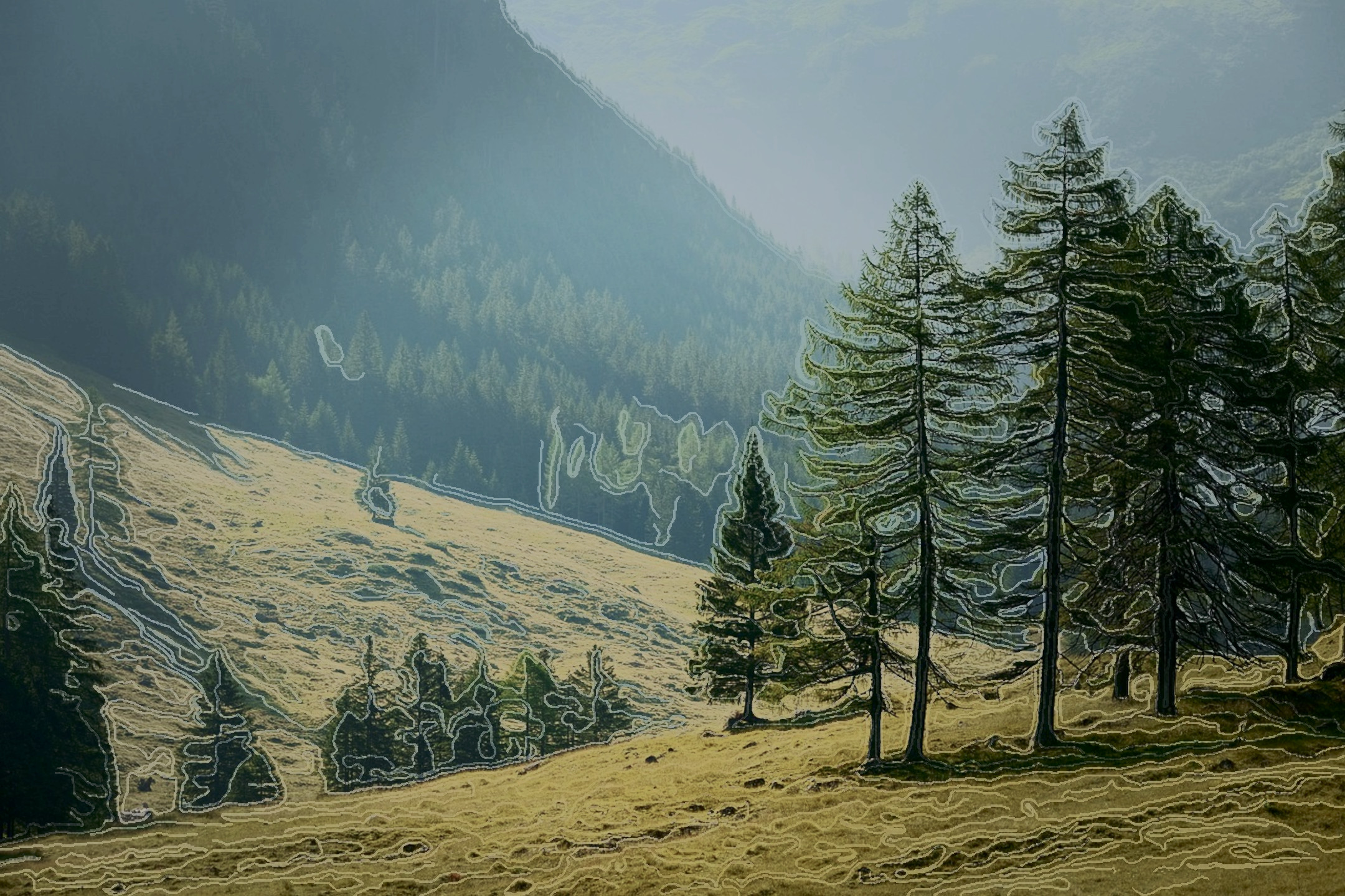nature-6517866_DN_Artistic_and_Divide_Doodle.JPG