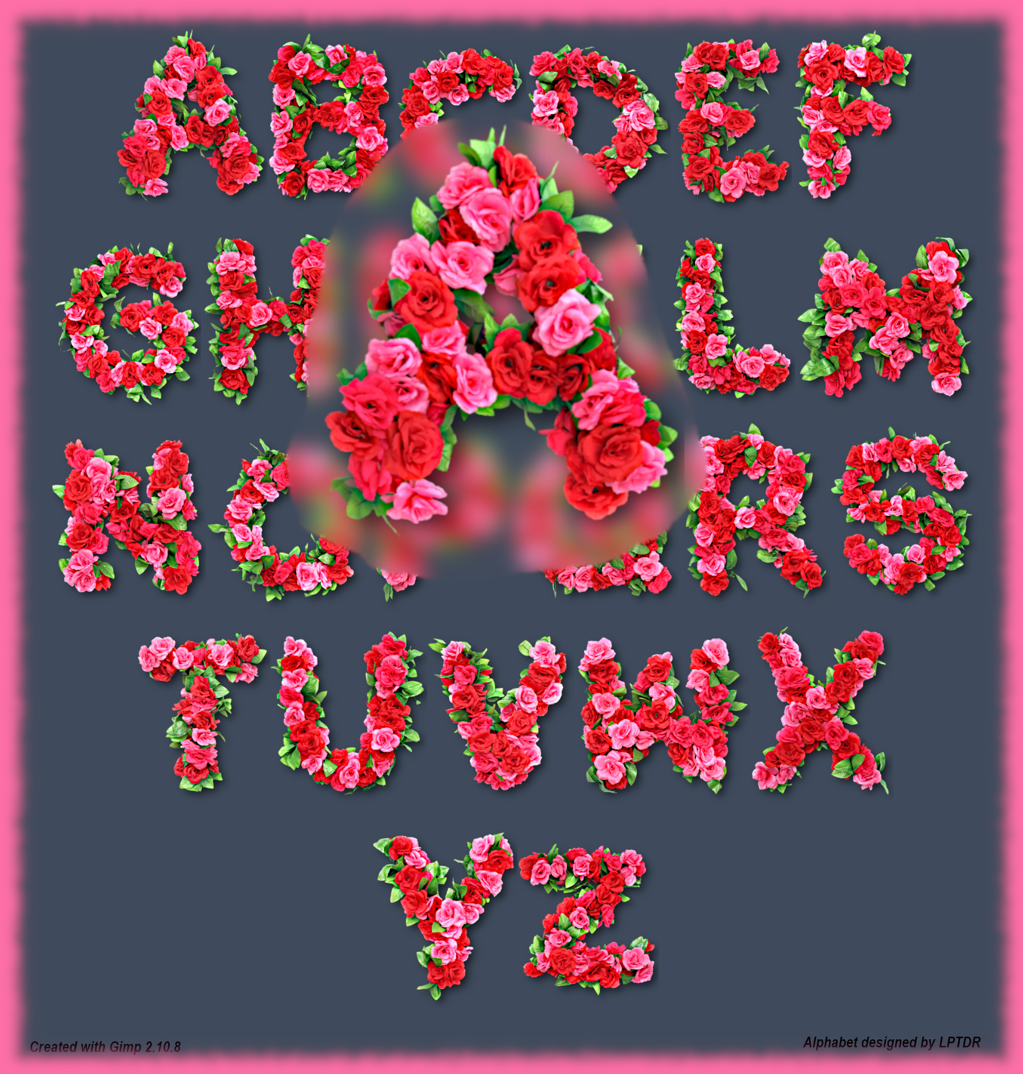 Gimp_LPTDR_29_A_GL.jpg