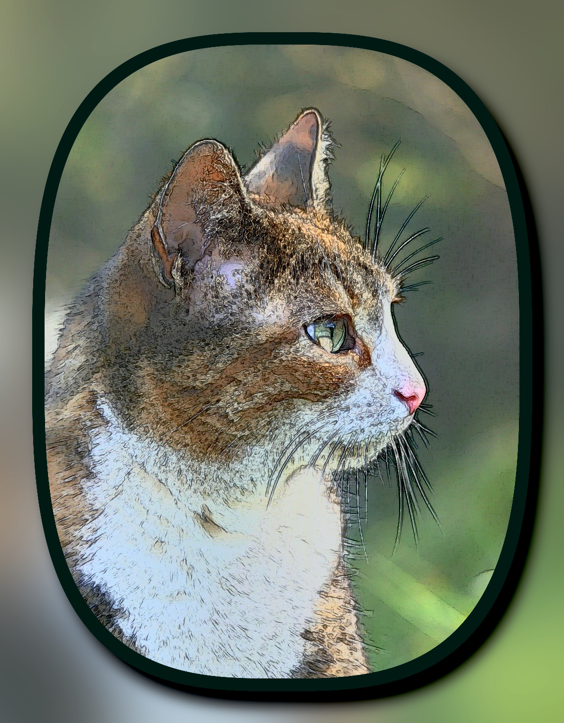 cat-7954262_DN_LineArtFramed_Afre Edge.jpg
