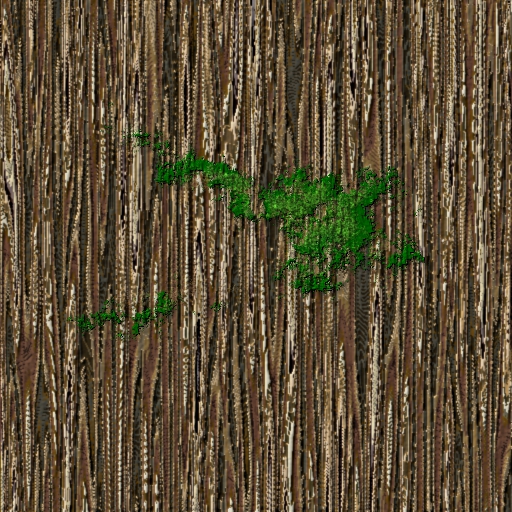 Moss_1.jpg