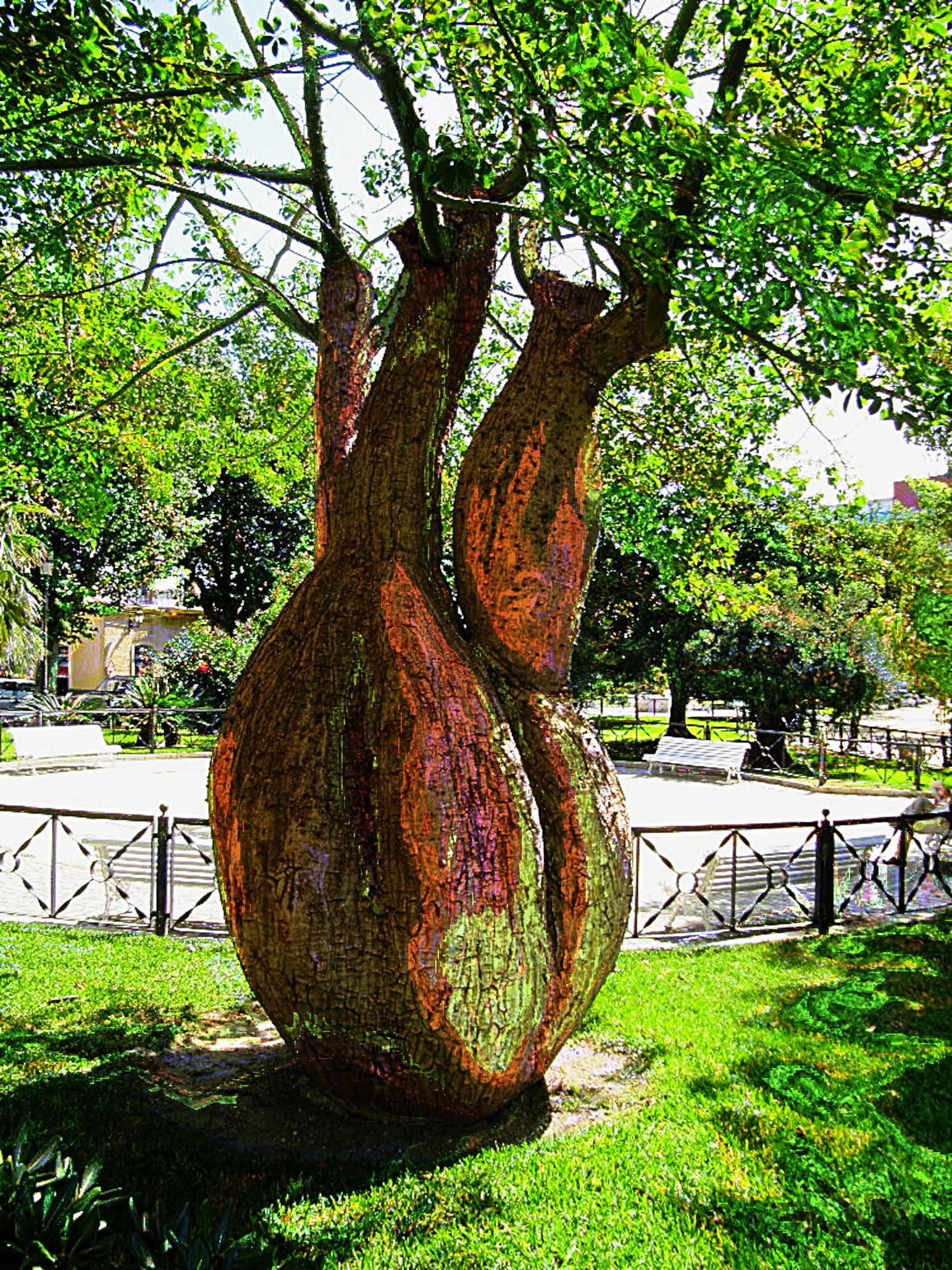 Tree_Cadiz_DN_Artistic_and_Divide_DreamSmoothing.JPG