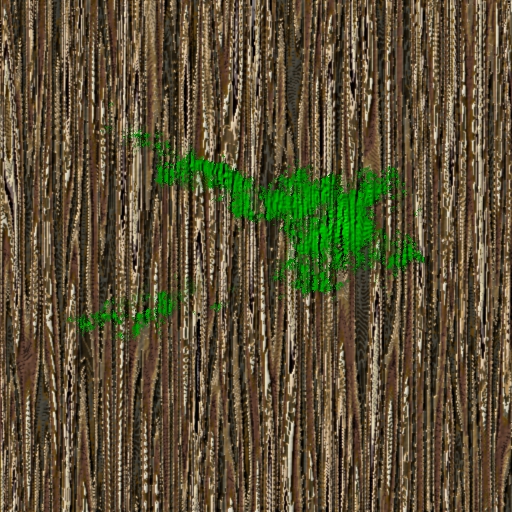 moss_3.jpg