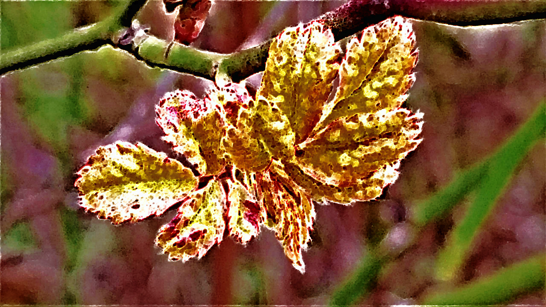 2023-08-01 09-15-22img_20230305_112343163__2__by_simonalora_dfqz5p5-fullview with an Artistic&Divide effect, style FeltPen (prep.step choosen=Local Normalization..jpg